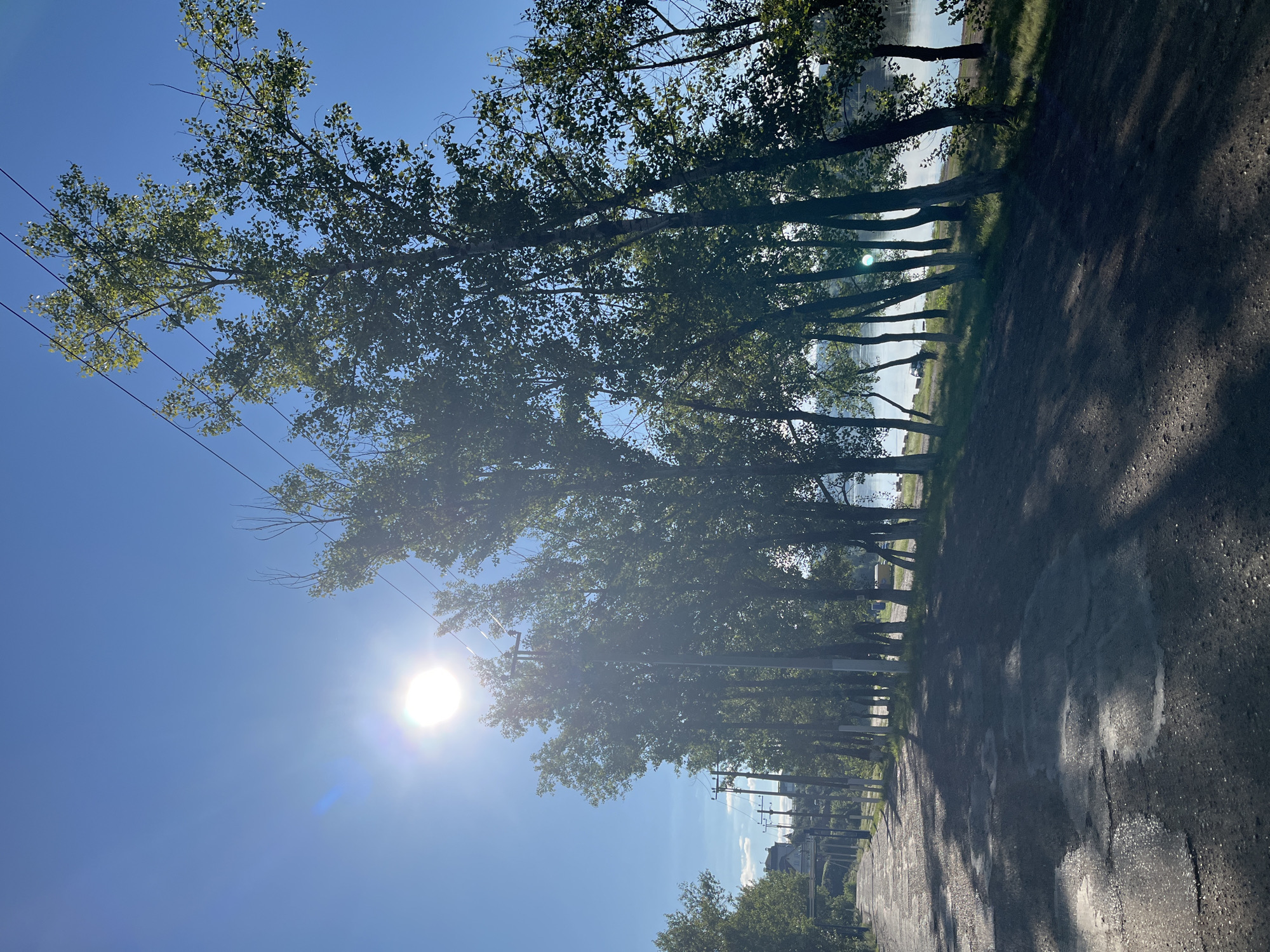 This image depicts a road lined with tall trees in the city of Novye Turbasly, Russia. The sun is shining brightly, casting long shadows across the road. Power lines are visible running overhead. In the background, a body of water can be seen. The road appears to be unpaved and somewhat rough. The trees are dense and green, suggesting it is likely springtime or summer. There are no people or animals visible in the image. The overall impression is of a quiet, natural setting within a populated area.