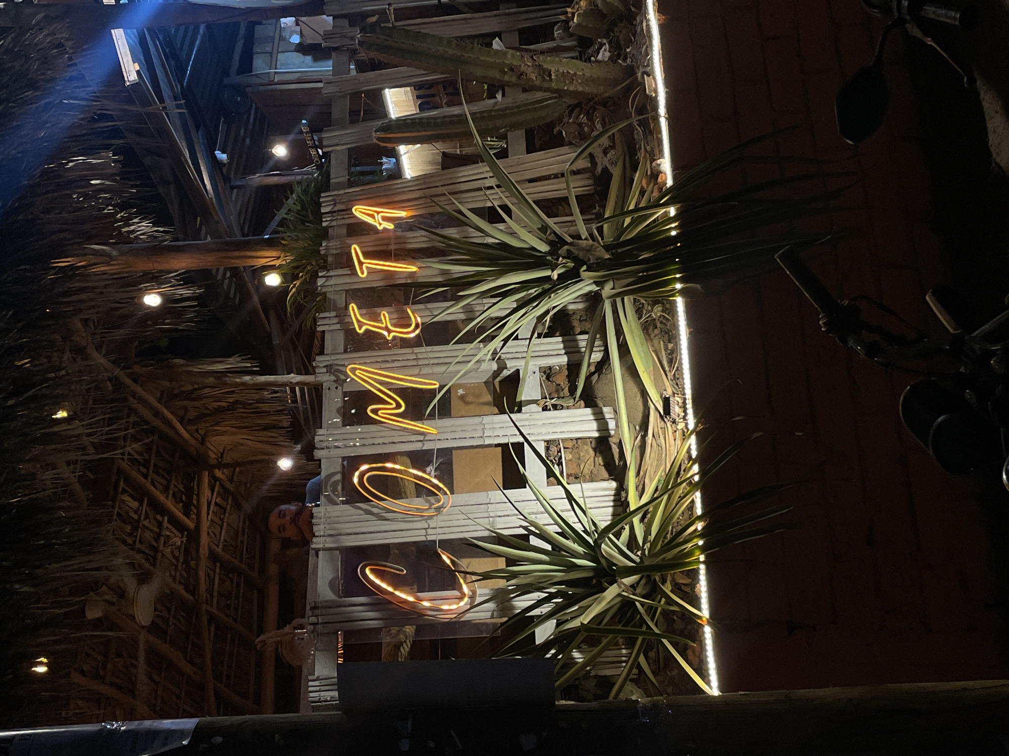 The image shows an outdoor scene in Brisas de Zicatela, Mexico, at night. A neon sign spelling out "Cometa" vertically is mounted on a wooden structure that also supports cacti and agave plants. A person is visible behind the sign, within the structure. The structure itself appears to be a rustic construction, possibly part of a restaurant or bar. Other elements in the scene include palm thatch, string lights, and a motorcycle parked on the side.