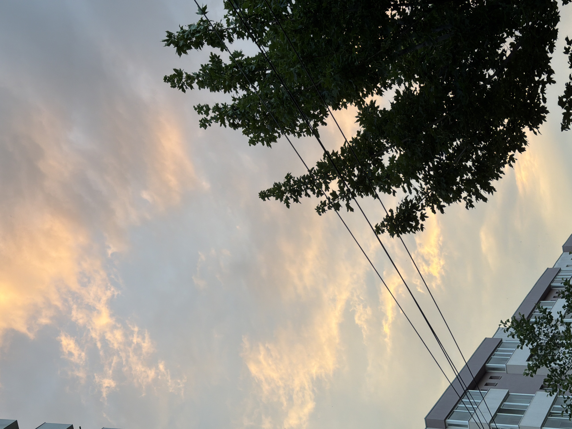 The image captures a view looking upwards at the sky. A tree with dark green leaves is in the foreground, silhouetted against the sky. Several power lines stretch diagonally across the frame, appearing to be supported by unseen poles. In the background, a modern building with white and grey sections is visible, extending upwards and to the right. The sky is filled with wispy clouds, tinged with warm hues of orange and yellow, suggesting that it is either sunrise or sunset. The overall impression is one of a serene and tranquil moment, possibly in an urban or suburban setting. No people are visible in the image.
