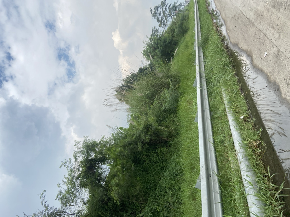 The image shows a roadside in Margaasih, Indonesia, located at latitude -6.966 and longitude 107.542. A silver guardrail runs along the edge of a grassy embankment, separating the road from a patch of vegetation. The vegetation consists of green grass, shrubs, and tall stalks of dried grass. A shallow puddle of water lies in the ditch beside the guardrail. The sky is overcast with white clouds against a backdrop of blue. There are no people or vehicles visible in the image. The scene is tranquil and uneventful.