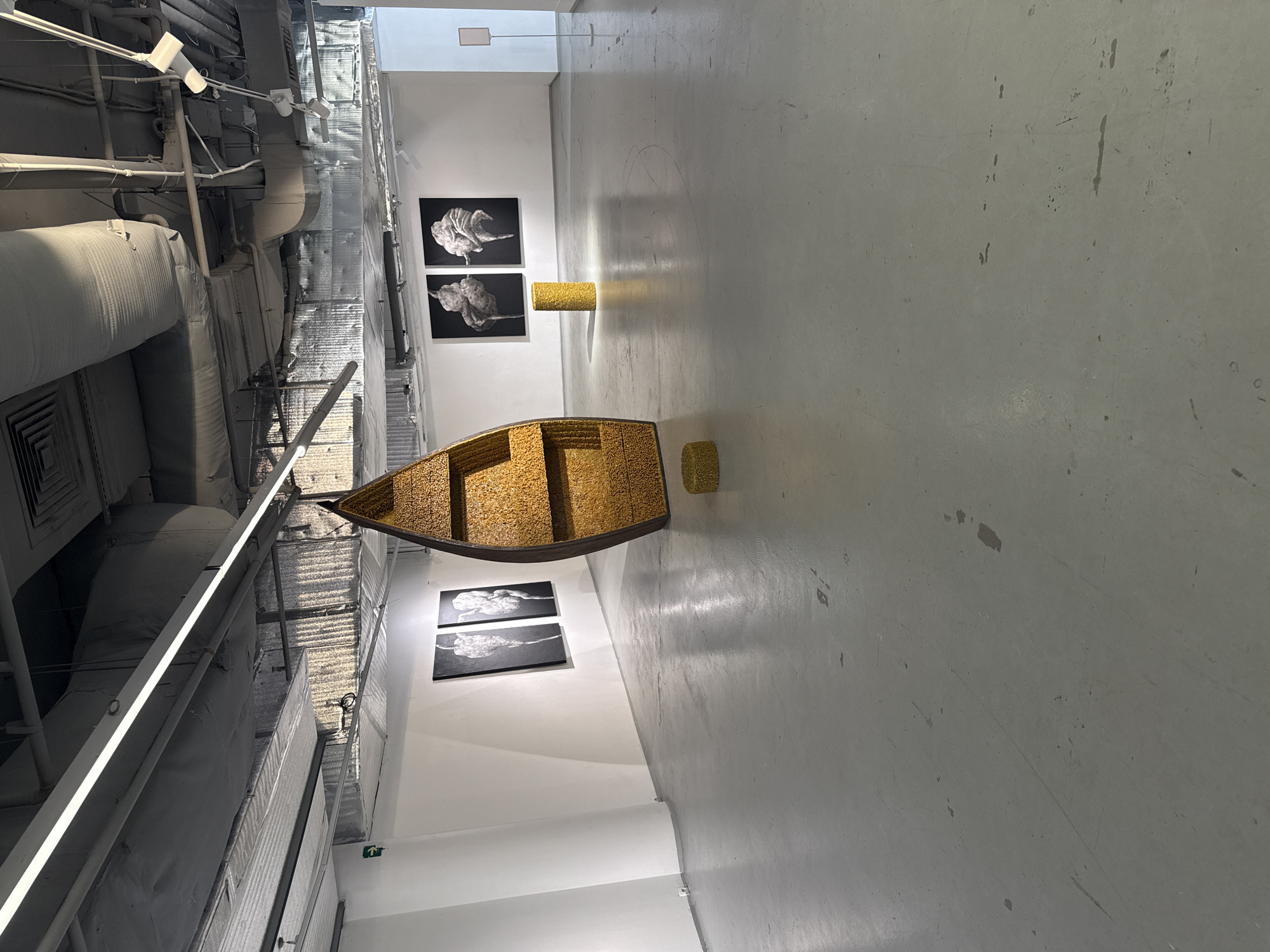 The image captures an interior space, likely a modern art gallery, in Unknown, Unknown. The setting is defined by its minimalist aesthetic: white walls and light gray concrete flooring. Overhead, exposed industrial ceiling elements—ductwork, pipes, and lighting fixtures—contrasts with the pristine surfaces.
A central element of the scene is a boat-shaped art installation filled with what appears to be golden kernels or seeds. Near it is a similarly filled cylindrical structure. Further down the gallery are another structure filled with golden kernels or seeds and two framed artworks are mounted on the wall. The art pieces depict abstract, cloud-like shapes in black and white. Another pair of art pieces depicting similar abstract shapes are mounted on the wall beyond the boat. The scene is devoid of people, focusing solely on the juxtaposition of architectural and artistic elements within the space.