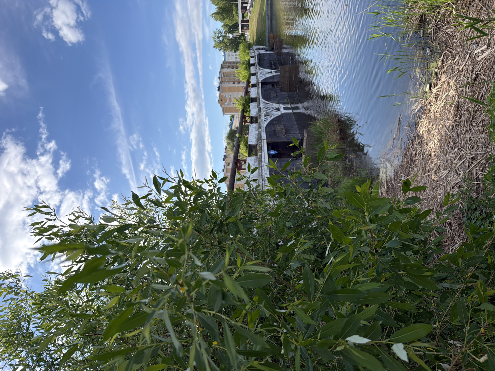 The image shows a body of water, possibly a canal or river, with a stone aqueduct or bridge spanning it in the city of Votkinsk, Russia. The aqueduct is visible in the mid-ground, reflecting in the water, and is supported by arches. Buildings are visible beyond the aqueduct. In the foreground, there's dense foliage, likely a bush or trees, obscuring the view. The right edge of the frame includes a bank with dry vegetation alongside the water. The sky is blue with streaks of clouds.