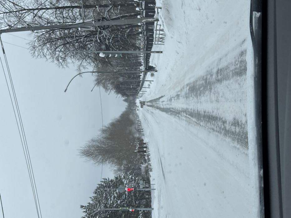 A snowy street view from inside a vehicle. The road is covered in snow with tire tracks visible. Trees line both sides of the street, their branches laden with snow. A few streetlights are present. At the nearest traffic light, the light is red. The sky is overcast and gray. A vehicle is visible in the distance. The image appears to be taken through a window.