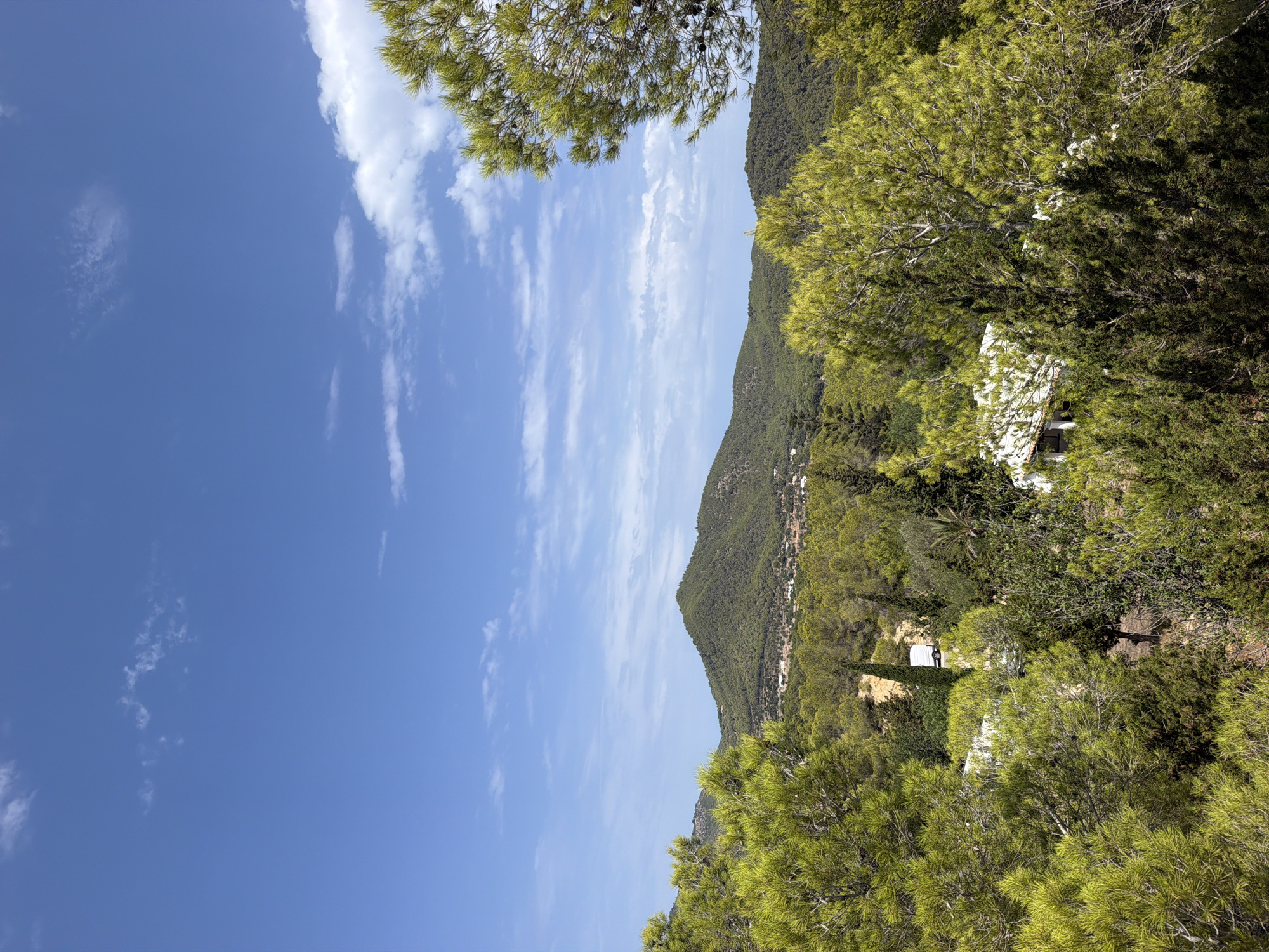 The image depicts a verdant, hilly landscape under a bright blue sky with scattered white clouds. Dense green pine trees dominate the foreground, with some appearing to be in the immediate vicinity of a structure. In the mid-ground, a cluster of white buildings is visible amidst more trees. The background features rolling hills covered in evergreen foliage, suggesting a rural or natural setting. A solitary white van is parked on a dirt path amidst the trees in the mid-ground. The scene is devoid of any people. The location is identified as Sant Joan de Labritja, Spain, which is consistent with the Mediterranean vegetation.