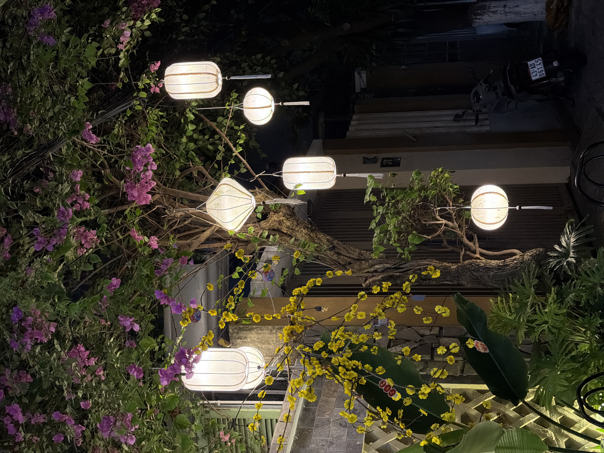 The image depicts an outdoor scene in Đà Nẵng, Vietnam, at night. Several white paper lanterns illuminate a space filled with lush vegetation. Purple bougainvillea and yellow flowers intertwine around the lanterns and architectural elements. In the background, there are parts of buildings and a parked scooter. The environment suggests a restaurant or courtyard setting.