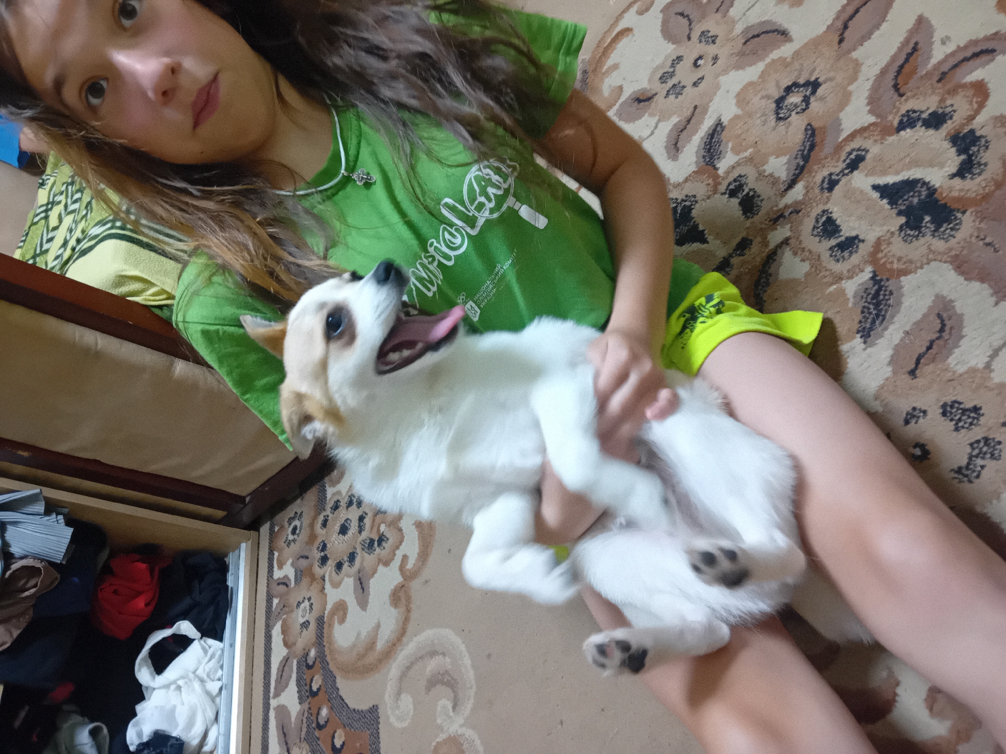 In this medium shot, a young girl with long, brown hair is holding a small, white and tan dog. She is wearing a green t-shirt with a white graphic logo and text, and bright yellow shorts. The dog is upside down in her arms, with its tongue hanging out and its eyes wide open. The girl is looking towards the camera with a neutral expression.
The setting appears to be indoors, possibly a bedroom or living area. The girl is sitting on a patterned sofa or bed. To the left of the frame, an open drawer is visible, containing folded clothes in various colors, including red, black, and white. The lighting suggests daytime, but the specific time of day or weather conditions are not discernible.
The visible text on the girl's t-shirt includes Cyrillic lettering and a graphic resembling a magnifying glass. The word "НАЦІОНАЛЬНИЙ" and "ТРЕТІЙ КОМІТЕТ" are partially visible, suggesting the t-shirt may be related to a national or official committee. The overall impression is a casual moment between a child and her pet.