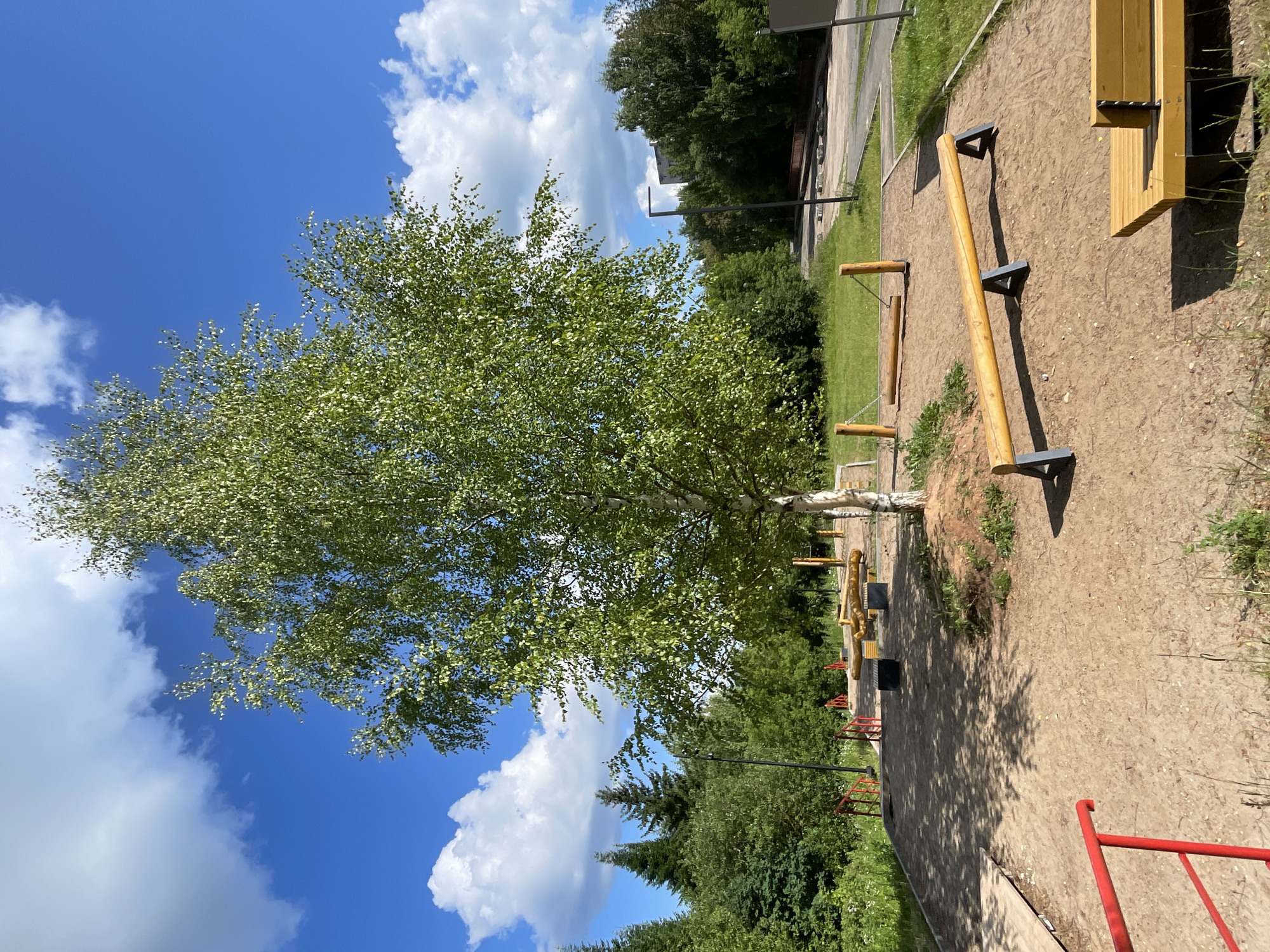 An outdoor fitness park in Kirovo-Chepetsk, Russia, features various wooden exercise equipment set on a sand-covered ground. A large birch tree with light green foliage stands in the center of the frame, casting shadows on the sand. The park is surrounded by lush green trees and a bright blue sky with scattered white clouds. In the foreground, a red railing is visible. Exercise equipment includes balance beams, a wooden bench, and other rustic structures designed for physical activity. The scene depicts a well-maintained recreational area in a natural setting.