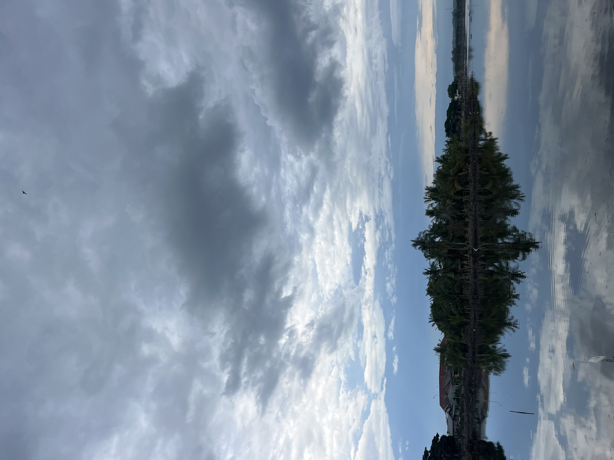 The image captures a view in Lhokseumawe, Indonesia, with a focus on a body of water reflecting the sky and surrounding trees. The sky is filled with a mix of dark, grey clouds and patches of blue. A solitary bird is visible in the upper left of the sky. Reflected in the water are palm trees and a building with a red roof. A white bird, potentially an egret, is standing in the shallow water in the lower right. The reflection in the water is slightly blurred, indicating a calm surface. The environment suggests a coastal area with abundant vegetation.