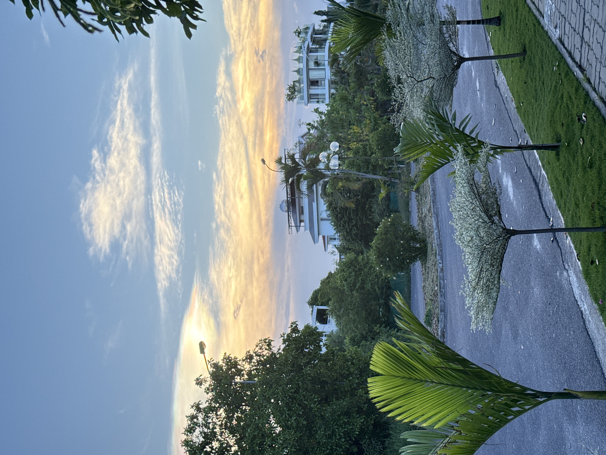 This is a photograph of a street scene in Nam Nha Trang Ward, Vietnam, likely taken at dusk or dawn given the soft, warm light in the sky. The foreground features a paved road with a grassy verge. Several small trees, one with large green palm fronds and others with delicate, light-colored foliage, are planted along the verge. In the middle ground, there are lush green trees and bushes, with several modern white houses visible behind them. One house in particular has a distinctive layered rooftop. In the background, the sky is a soft blue with streaks of orange and yellow from the setting or rising sun, and wispy white clouds. A single lamppost is visible on the left side of the image, and another set of ornate streetlights can be seen amongst the trees in the middle ground. The overall impression is one of a well-maintained, upscale residential area bathed in atmospheric light.
