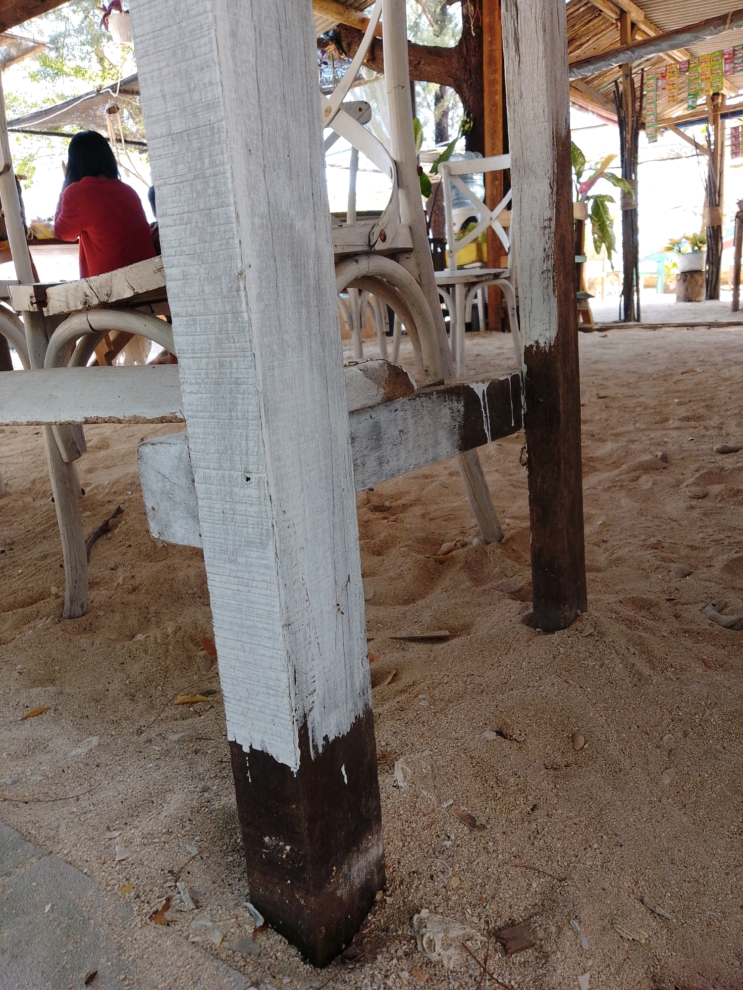 The image depicts a beachside establishment, likely in Cikal, Indonesia, with a focus on the sandy ground and weathered wooden structures. In the foreground, two weathered wooden posts, partially painted white, rise from the sand. One post on the left is thicker and has visible striations and chipped white paint, revealing darker wood underneath. The post on the right is thinner and appears more weathered, with the white paint application being rough and drippy towards the bottom.
Behind the posts, a wooden bench and table are visible, also showing signs of age and exposure to the elements. A person wearing a red long-sleeved shirt is seated at the table, facing away from the camera, their dark hair partially visible. Their interaction with the table is unclear.
The environment is characterized by loose, light-colored sand covering the ground, with scattered debris such as dried leaves and small pieces of wood. In the background, more wooden structures, possibly part of a roofed shelter, are evident. These structures are made of natural wood and corrugated metal roofing. Some foliage, including trees and potted plants, is also visible, suggesting an outdoor, possibly tropical setting. The lighting indicates a bright, daytime scene, with sunlight filtering through the structures and trees. The overall impression is one of a rustic, casual beachside location.
