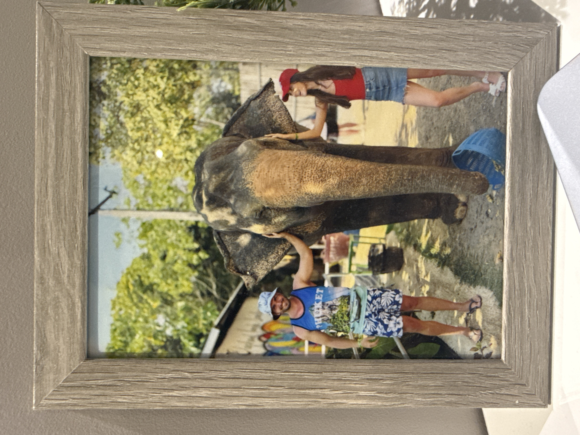 A framed photograph depicts a man and a woman interacting with an elephant. The man, wearing a blue hat, tank top with "PHUKET" on it, and floral shorts, is standing and reaching up to touch the elephant's head. The woman, wearing a red cap, red shirt, and denim shorts, is standing near the elephant and touching its trunk. The elephant is positioned between them. The background suggests a tropical or semi-tropical environment with trees and a building with a colorful mural. The photograph is enclosed in a light-colored, textured wooden frame.