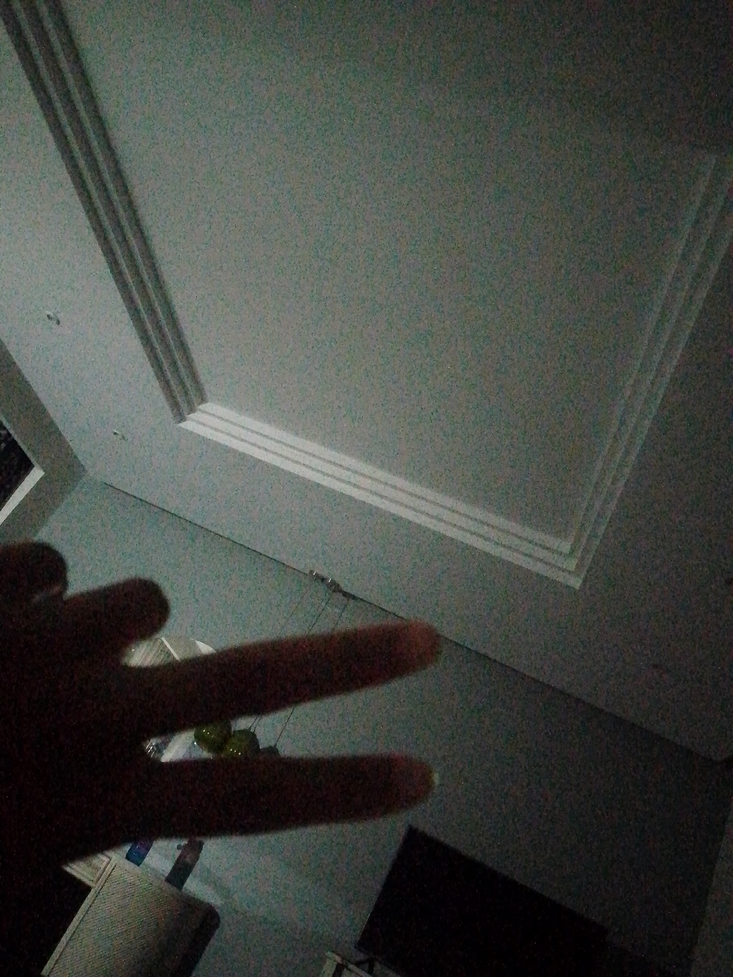 A photograph taken indoors. A hand is in the foreground, fingers extended in a peace sign. The background is a room with a ceiling feature consisting of layered rectangular trim. Beneath the ceiling, the walls are visible, and a television is partially visible to the right. The location is in the city of Pedro González, Venezuela.