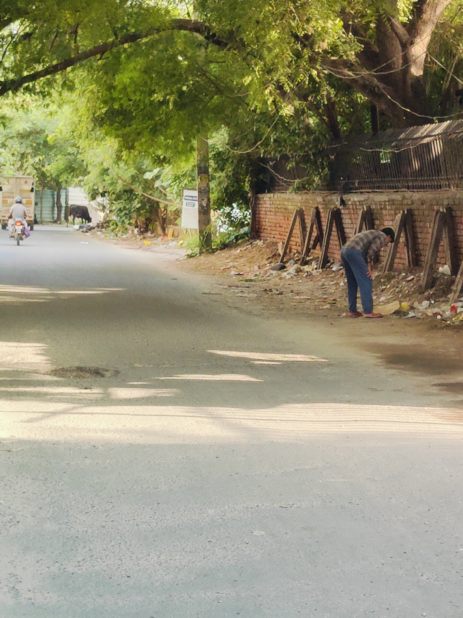 In Gurgaon, India, a scene unfolds along a paved road bordered by trees and a brick wall. Sunlight filters through the lush green canopy, casting dappled shadows on the asphalt. To the left, a person on a motorcycle travels away from the camera, accompanied by a truck. Further down the road, a dark-colored bovine grazes.
On the right side of the road, a man in a plaid shirt and blue jeans bends over, appearing to inspect or interact with the ground near the brick wall. The area beside the wall is littered with debris and various objects, including what look like discarded plastic bottles and bags. A series of triangular wooden supports are also visible along the wall. The overall impression is a common urban street scene with elements of everyday life and a touch of disarray in the environment.
