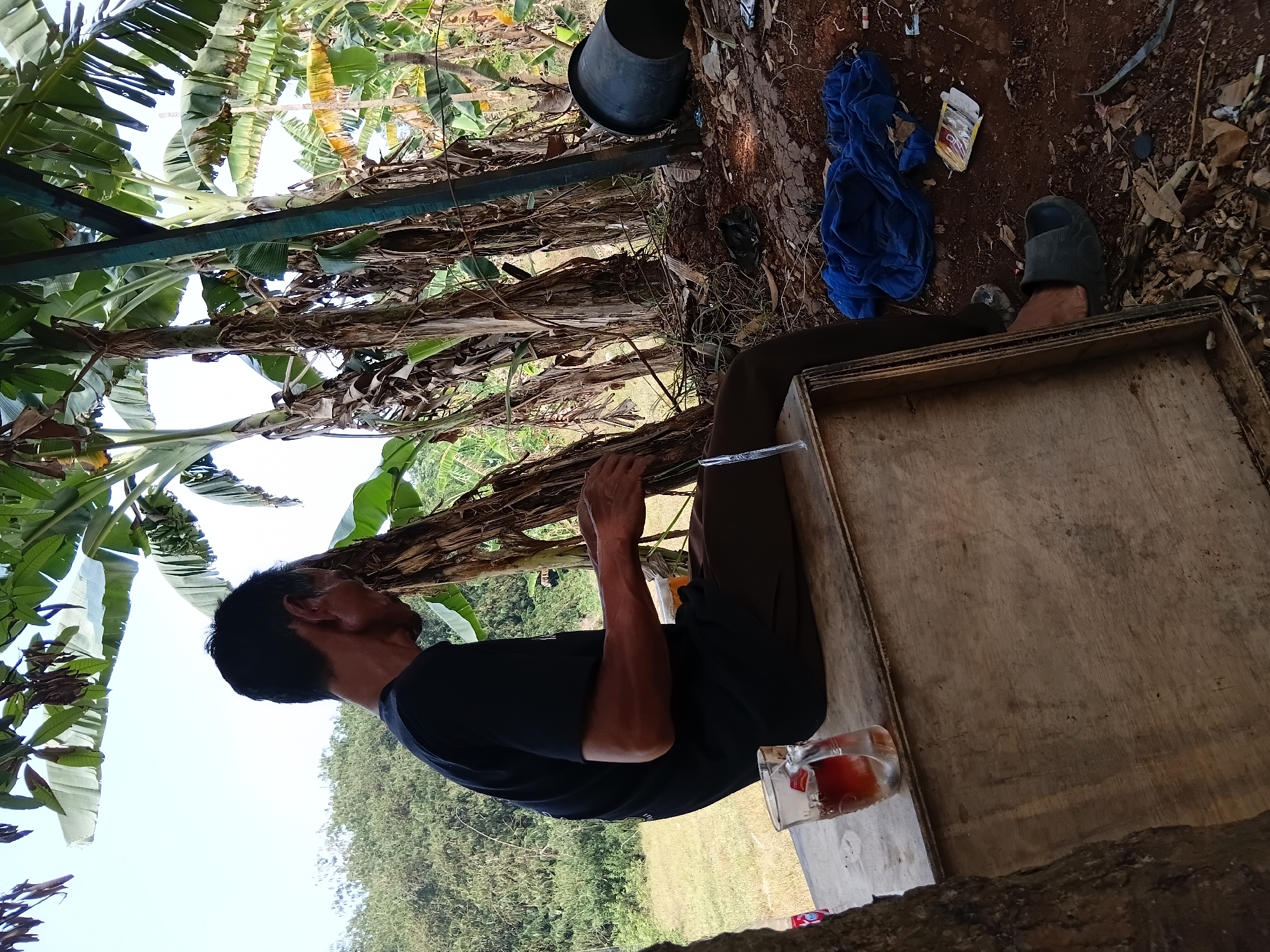 A man with dark hair is sitting on a wooden box in an outdoor area. He is wearing a black t-shirt and dark pants. He is holding a glass of amber liquid and a thin, clear object. Behind him, there are banana trees, dry leaves, and a large black container. To his right, on the ground, there is a crumpled blue cloth and some scattered debris. The overall environment suggests a rural or semi-rural setting. The lighting indicates it is daytime.