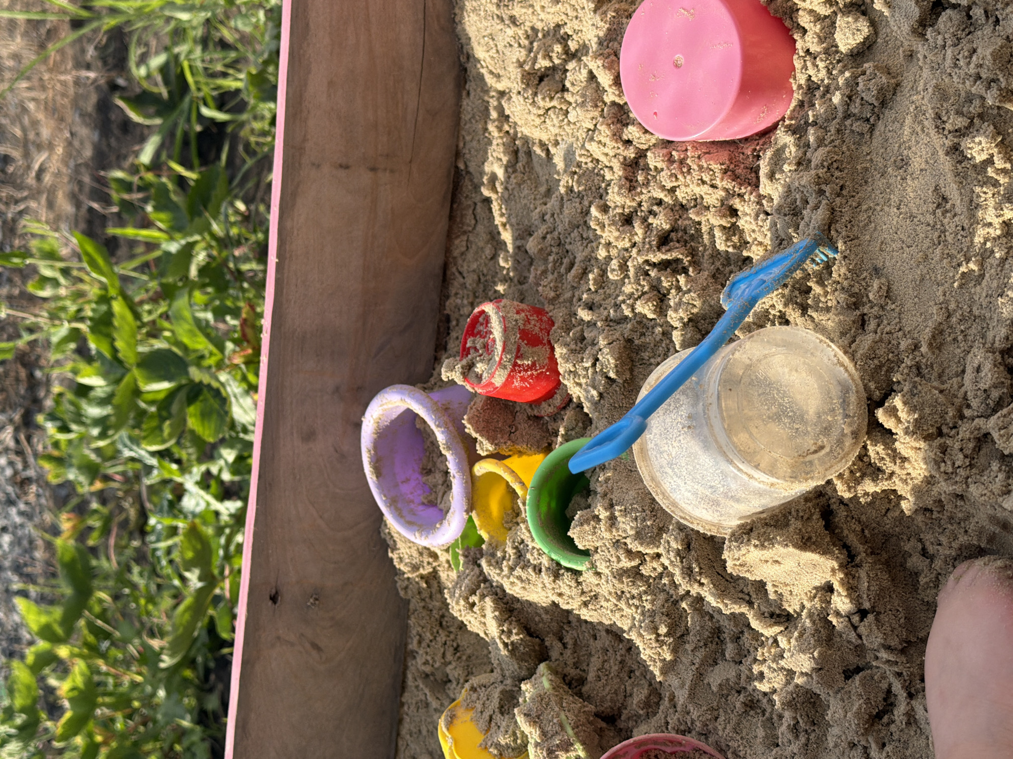 The image depicts a close-up view of a sandbox filled with sand. Several children's toys are scattered within the sand, including a pink plastic cup, a small red plastic cup, a purple ring-shaped toy, a yellow bucket, a green spade, and a clear plastic container. A blue plastic shovel is also visible, partially buried in the sand. The corner of a wooden sandbox structure with a pink border is visible on the left side of the frame, along with some green foliage and dry grass. A person's foot, covered in sand, is visible in the bottom right corner of the image. The lighting suggests it is daytime, likely sunny. The overall scene suggests a recreational activity, possibly children playing in a sandbox. There is no visible text in the image. The location context of Krasnyi Krym, Russia is noted.