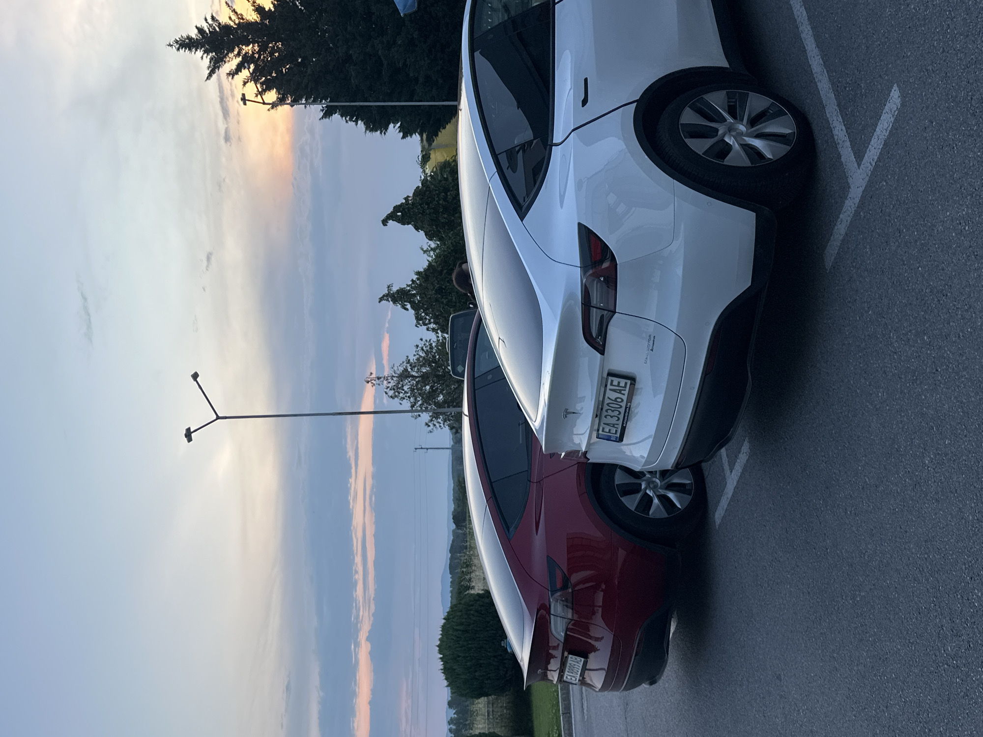 An outdoor scene captures a parking lot in Momkovo, Bulgaria, during twilight hours, likely sunset, characterized by soft, ambient light. The sky transitions from a pale blue at the top to a light white-pink and subtle orange hue near the horizon on the right, with scattered grey clouds across the mid-section.
Two Tesla Model Y vehicles are parked facing away from the viewer on a dark grey asphalt surface marked with white parking lines. The car on the left is a dark red Model Y, its rear and left side visible. It displays a Bulgarian license plate reading "EA 8899 AE". The car on the right, positioned closer to the foreground, is a white Model Y, revealing its rear and right side. Its Bulgarian license plate reads "EA 3306 AE" and is framed by "avtosentrum.bg" text. Both vehicles have tinted rear and side windows.
In the background, a person with dark, curly hair is partially visible, standing between the two vehicles and behind the roofline of the white Tesla. A tall, dark grey streetlight pole with a bifurcated fixture stands prominently in the upper center of the image, unlit. On the far right, another streetlight pole is partially obscured by a tall, dark green coniferous tree that extends upwards into the sky.
To the left, behind the red Tesla, a neatly trimmed spherical green bush is visible, backed by a light-colored fence or wall. Further in the distance, gentle rolling hills or low mountains covered in light green vegetation define the horizon. Other scattered trees and bushes, some with sparse foliage, are present in the mid-ground, along with faint indications of utility poles.