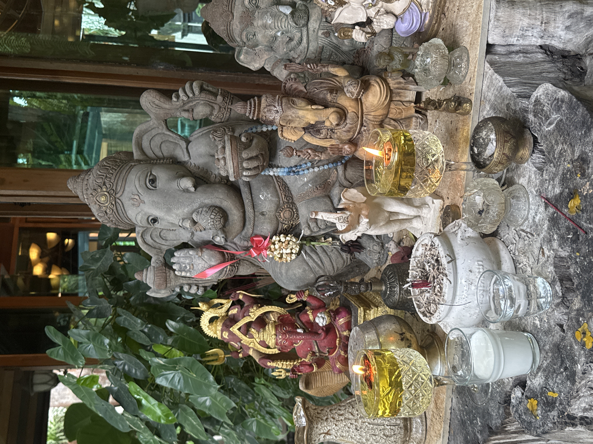 The image depicts an outdoor shrine with multiple Ganesha statues of varying sizes and materials, including stone, red-painted material, and wood. The statues are arranged on a weathered wooden surface, possibly a log or stump. In the foreground, two small glasses are visible, one filled with a white liquid and the other with clear liquid. Next to them is a white ceramic pot filled with ash and extinguished incense sticks. A stemmed glass filled with yellow liquid and a lit wick is to the left, with a small floral garland hanging from a red ribbon nearby. Behind the Ganesha statues, lush green foliage is present, suggesting an outdoor setting. A decorative vase with a textured surface is on the far left. The overall scene appears to be a devotional or spiritual display. Based on the available information, this shrine is located in Suthep, Thailand.