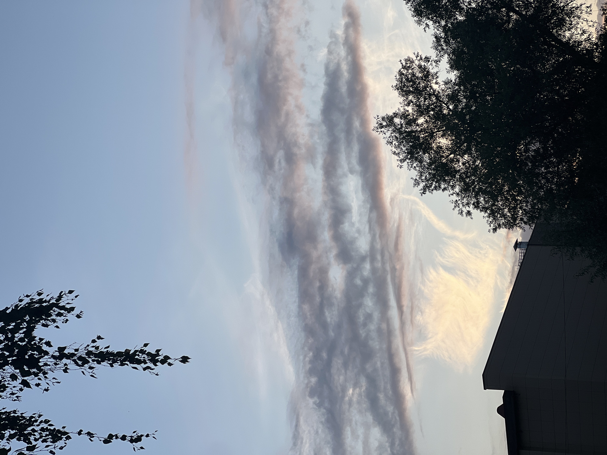 The image depicts a sky at dusk, with a building silhouetted in the lower left corner. The building appears to be a commercial or residential structure, with a dark roof and flat facade. To the right of the building, a large, dark silhouette of a tree is visible, its branches reaching up into the sky. The sky itself is filled with wispy clouds, tinged with hues of pink and orange, suggesting the setting sun. Hanging from the upper left of the frame is a dark silhouette of tree branches and leaves, possibly from a weeping willow or birch tree. The overall scene is serene and captures the transition from day to night.