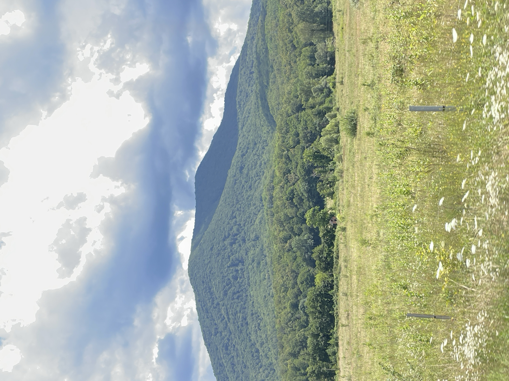 The image depicts a rural landscape with a large, tree-covered mountain range in the background. The foreground consists of a field of tall, dry grass interspersed with wildflowers and some scattered green foliage. A weathered, wooden structure, possibly a small abandoned house or shed, is visible in the middle ground to the right, partially obscured by trees. The sky is partly cloudy with dramatic white and gray formations. The scene appears serene and untouched, characteristic of a natural environment. The location is the city of Moldavanovka, Russia.