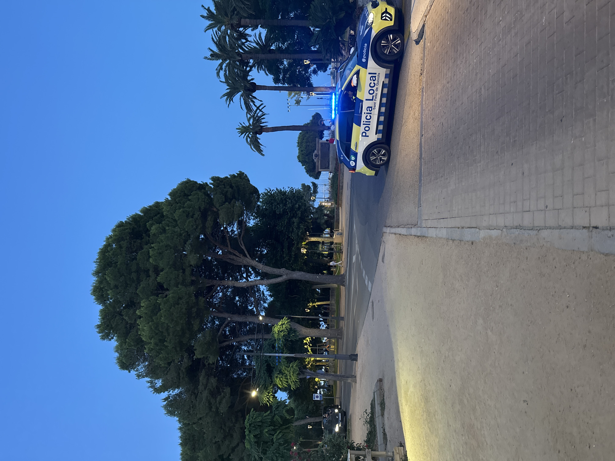 A police car with flashing blue lights is parked on a street in Sant Feliu de Guíxols, Spain. The car is white with blue and yellow markings and the words "Policia Local" and "Sant Feliu de Guíxols" are visible on its side. The car is facing towards the right of the image. In the background, there are several palm trees and other trees. The sky is clear and blue, indicating it is either early morning or late evening. There is a person walking in the distance on the sidewalk. The street is paved with cobblestones, and there is a dirt path next to it. The scene appears to be in a public area, possibly near a park or promenade.