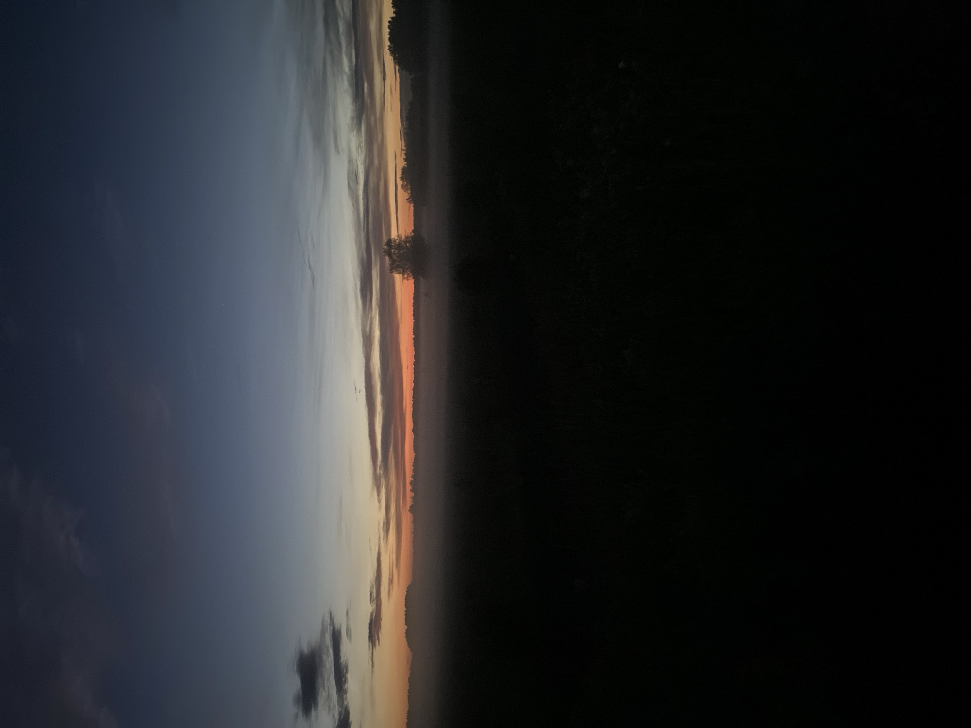 The image depicts a dark, silhouetted landscape at dusk or dawn. The foreground is almost entirely black, with very little discernible detail, suggesting it is either night or very early morning and the ground is covered in dark vegetation.
In the middle ground, a thin layer of fog or mist blankets the area, obscuring the details of the ground. Above the fog, the horizon is visible, with a line of trees silhouetted against the sky. A solitary tree, slightly taller than the surrounding foliage, stands prominently in the middle ground, its branches reaching upwards.
The sky transitions from a deep blue at the top of the frame to lighter shades of orange, yellow, and grey closer to the horizon. There are faint clouds scattered across the sky, some darker and more defined, others wispy and translucent. The colors suggest either the last light of sunset or the first light of sunrise.
There are no people or specific objects visible that would indicate the exact location in Lindo-Pustyn' (Kantaurovskii S/S), Russia, beyond it being an outdoor, likely rural or natural setting. The scene is quiet and still, characterized by low light conditions and the presence of mist.