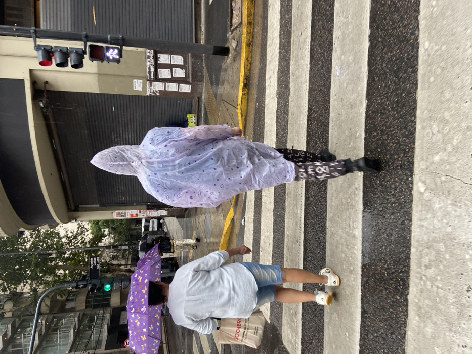 Two people are crossing a crosswalk. The individual closer to the camera holds a purple umbrella with butterfly designs and wears a white shirt and blue jean shorts. The other individual is clad in a plastic poncho with a hood and patterned black and white leggings. Traffic lights are visible on the left, and the street appears wet, suggesting rain. The buildings and trees add an urban backdrop to the scene.