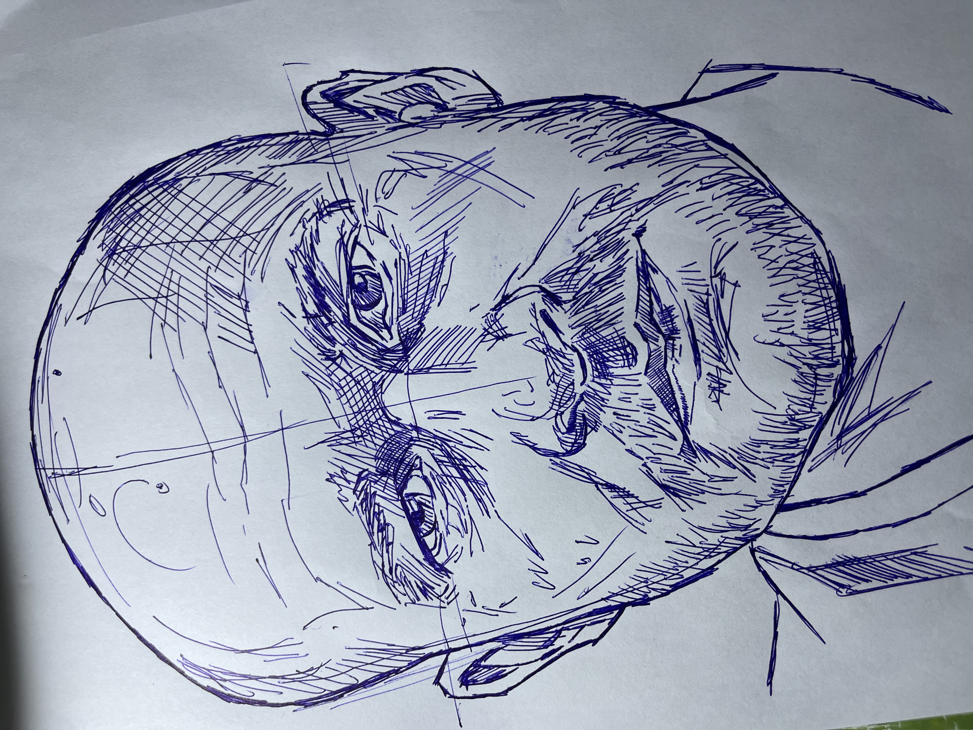 This is a close-up, head-and-shoulders ink sketch of a bald man with a goatee. The drawing is rendered in cross-hatching and various linear strokes, giving it a textured, somewhat rough appearance. The man's head is tilted slightly, and he is looking directly at the viewer with a serious or intense expression. Lines are drawn across the face, likely for construction or shading purposes. The background is plain white, indicating the drawing is on paper. There is no identifiable city, environment, or specific location information provided in the image.