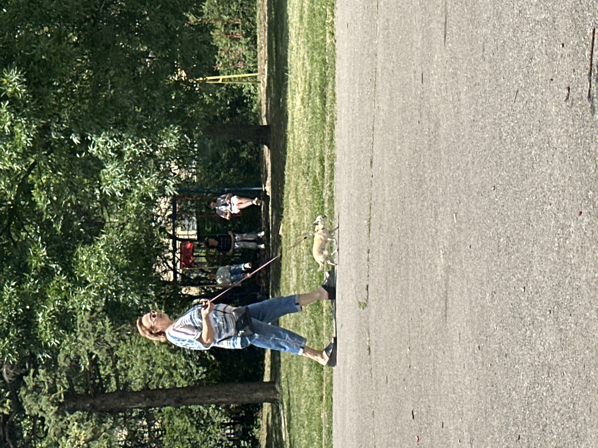 A woman is walking a small, light-colored dog on a leash on a paved pathway in a park. She is wearing a striped shirt, blue capri pants, and dark slip-on shoes. She also has a dark purse slung across her body. The dog is trotting ahead of her. In the background, there are trees, green grass, and a playground with people sitting on swings. The scene appears to be taking place in a public park on a sunny day. This image was taken in Sofia, Bulgaria.