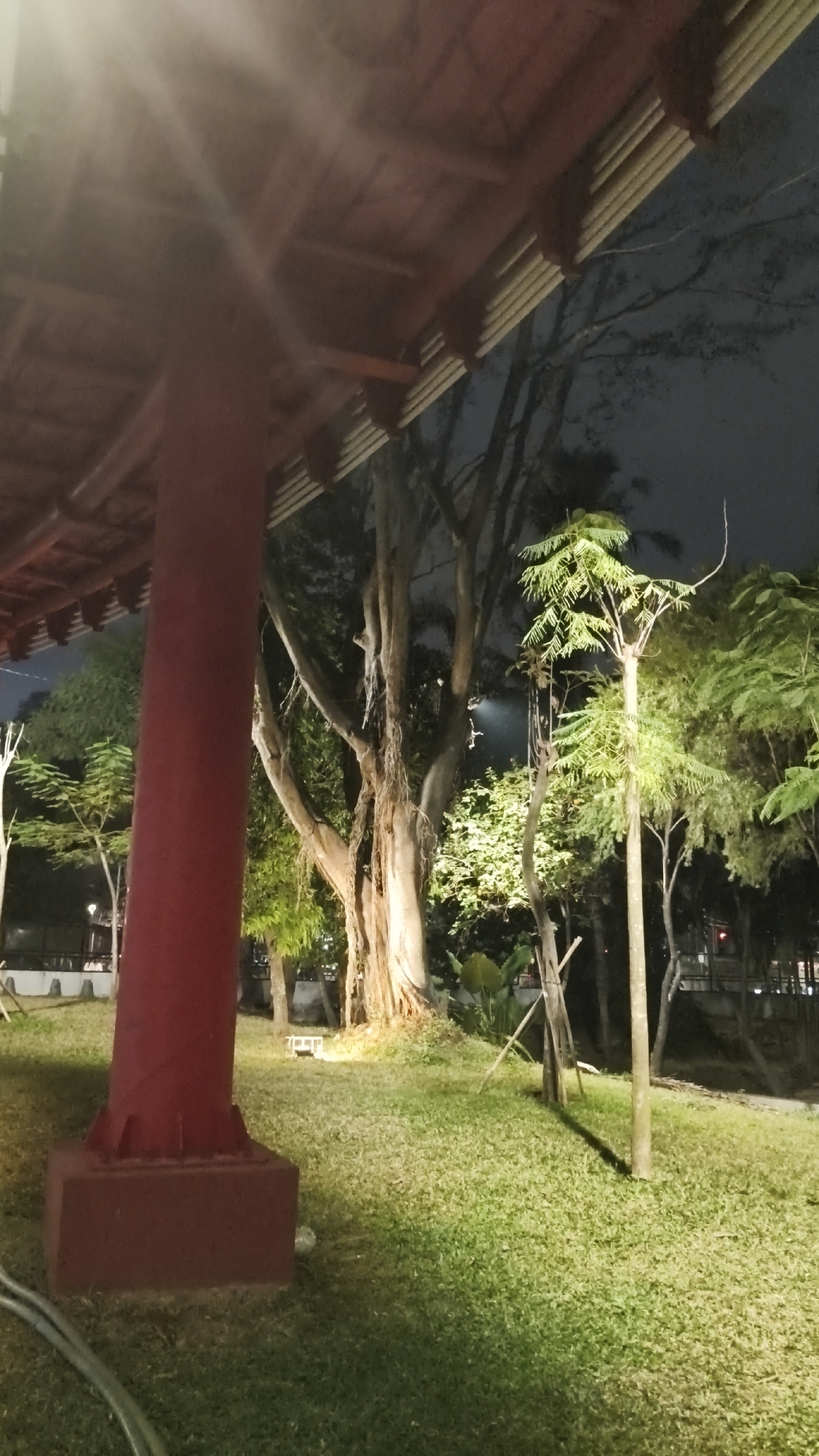 The image depicts a park area at night, illuminated by artificial lighting. In the foreground, a thick, reddish-brown cylindrical pillar supports a dark red, multi-tiered roof structure. The ground is covered in lush green grass, with some parts appearing brighter due to the lighting. To the right of the pillar, a large, ancient tree with exposed roots and a thick trunk stands prominently. Several smaller trees and dense foliage are visible behind the main tree. In the background, the dark sky suggests it is nighttime, and faint outlines of buildings or urban structures can be discerned. The scene appears to be a public park, possibly within the city of South Jakarta, Indonesia, given the presence of tropical vegetation and the architectural style of the roof structure, which could be indicative of a pavilion or gazebo found in Asian parks. There are no people or animals visible in the image.
