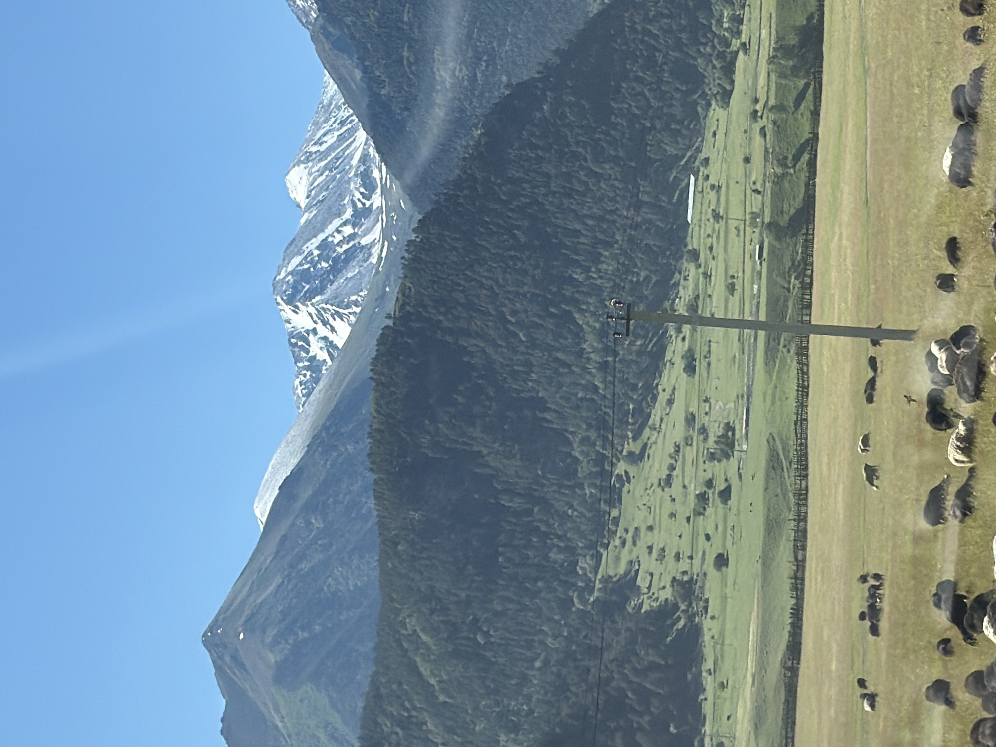 The image depicts a mountain landscape in Верхне-Тебердинское сельское поселение, Russia, under a clear blue sky. In the foreground, a flock of sheep grazes in a dry, grassy field. A wooden utility pole stands prominently in the mid-ground, with power lines stretching across the frame. Behind the field, a lush green valley slopes upwards, dotted with scattered trees and some distant buildings. The mid-ground is dominated by a densely forested mountainside, which transitions into higher, majestic peaks in the background. Some of these peaks are capped with snow, indicating a significant elevation. The overall scene conveys a sense of natural beauty and rural tranquility.