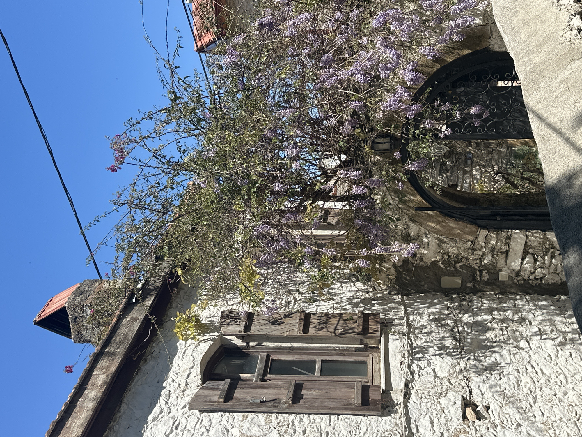 The image shows a whitewashed building in Datça, Turkey. The building has a stone or stucco exterior with an arched window or opening on the upper level, covered by decorative ironwork. A flowering vine, possibly wisteria, drapes over the building, obscuring parts of the window and architecture. A lower window is visible with wooden shutters partially closed. The building's roofline is visible with red tiles and weathered wood. Power lines are visible against the clear blue sky. The architectural style suggests the building is located in an older part of Datça. The environment indicates sunny weather.