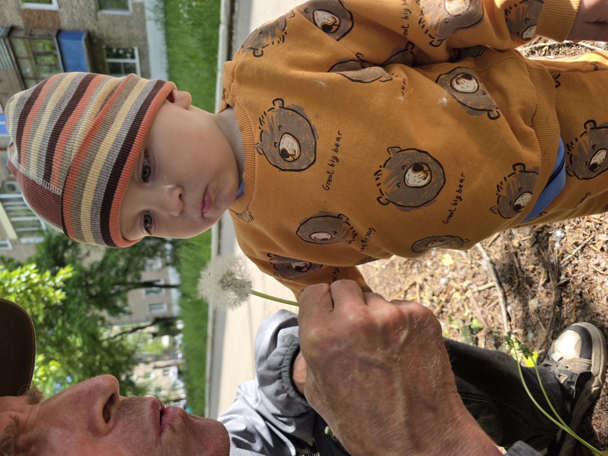 A low-angle, upward-facing photograph shows a man and a child outside in an urban environment. The man, visible from the nose up, is wearing a cap and a gray hooded sweatshirt. His lips are slightly parted as if he is speaking or about to speak. His hands hold a dandelion toward the child. The child, wearing a striped hat and an orange outfit with cartoon bear patterns, looks down at the dandelion. The background includes a building, trees, and a patch of ground with vegetation and debris. The photo was taken in the city of Chaikovsky, Russia.