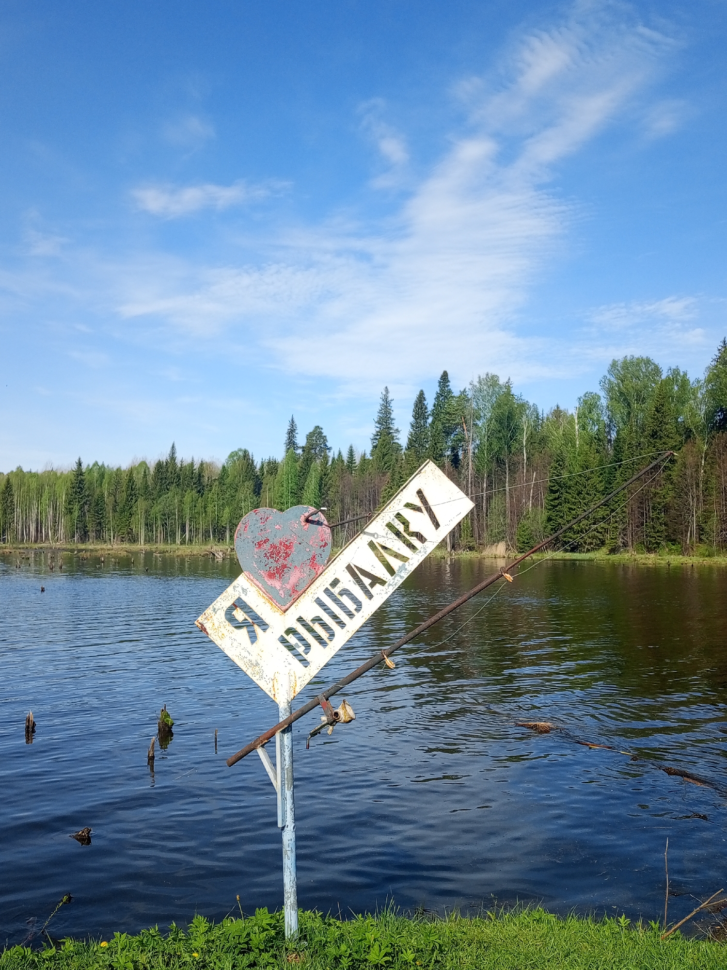 The image depicts a rural scene in Ural'skoe, Russia. In the foreground, there's a leaning, weathered sign, bearing a heart shape above the Russian inscription "Я РЫБАКУ" (Ya Rybaku), translating to "I am a Fisherman." A fishing rod is attached to the sign, extending over a dark-colored body of water, likely a lake or a large pond. Tree stumps are visible in the water. In the background, a dense forest line consisting of coniferous and deciduous trees stretches across the horizon. The sky is a clear blue with scattered white clouds. Green grass grows at the edge of the water in the lower foreground.