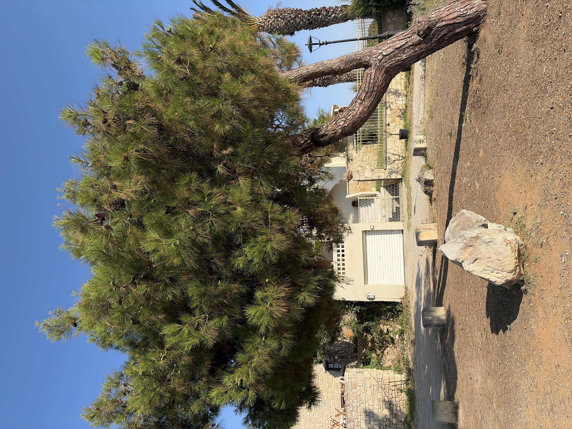 In the city of Kassandra Municipal Unit, Greece, a large pine tree with a gnarled trunk leans dramatically to the right, its dense green foliage casting a shadow on the dry, sandy ground. Several stone bollards and a large, light-colored rock are scattered in the foreground. Behind the tree, a building with a white roll-up garage door is visible, flanked by a stone wall and a low yellow fence. A palm tree stands to the right of the pine tree, and a black lamppost is positioned between them. The sky above is clear and blue.