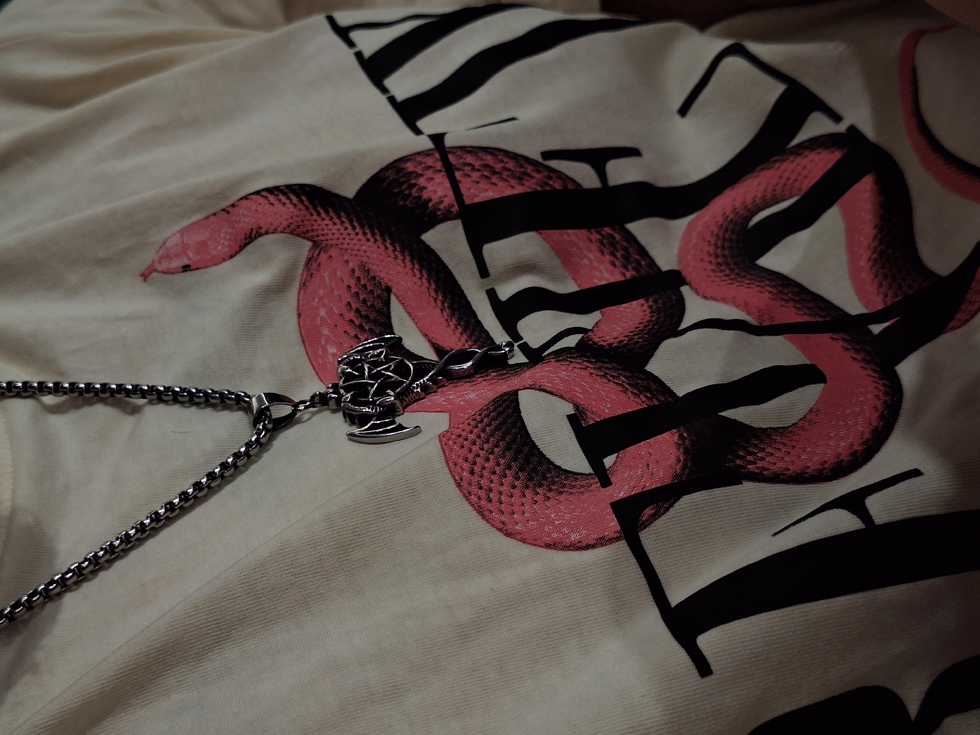 An overhead, close-up shot captures a light beige or off-white fabric, likely a t-shirt, adorned with a large graphic print and a metal necklace. The fabric is slightly wrinkled, suggesting it's laid flat.
The dominant feature of the graphic is a coiled pink snake, rendered with dark, textured details giving it a scaled appearance. Its head is visible on the left, with a small tongue protruding. Intertwined with and overlaying the snake are large, bold, stylized black letters. While not fully legible, segments of letters like 'F' and 'E' are clearly visible, hinting at a word, possibly "FEAR" or a similar term.
A silver-toned metal chain necklace rests on the fabric, extending from the bottom left corner towards the center. Attached to the chain is an elaborate, silver-toned pendant. The pendant has an intricate design, appearing to be a stylized axe or hammer, possibly with gothic or mythical elements, including what looks like a skull or demonic face integrated into its structure.
The lighting in the image is somewhat dim, creating soft shadows and highlighting the metallic sheen of the necklace and pendant. No people are visible, and there are no specific cues for time of day, weather, or location.