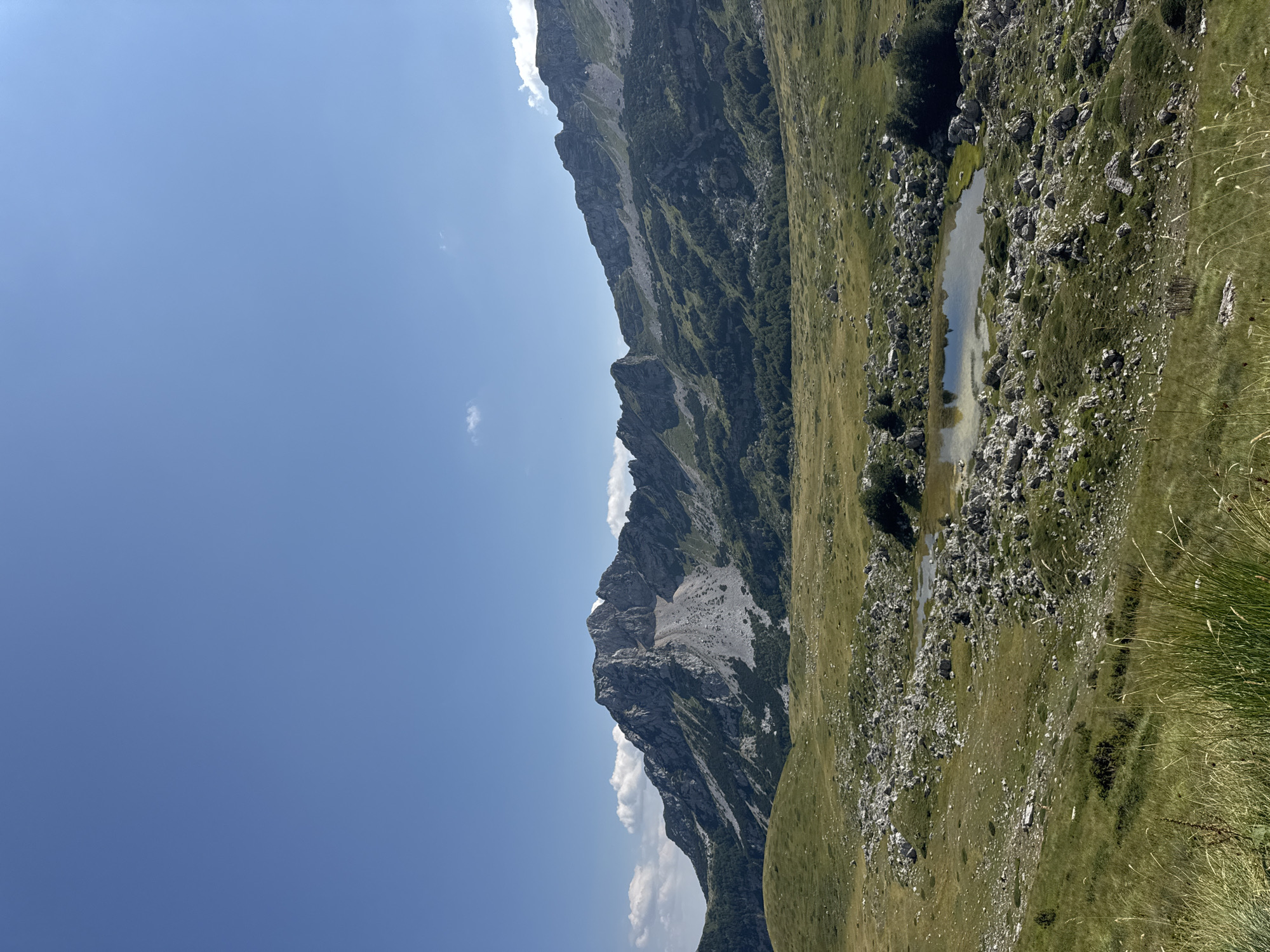 The image depicts a scenic mountain landscape under a clear blue sky with a few scattered clouds. The foreground features a grassy meadow dotted with numerous rocks and a small, shallow body of water that reflects the sky. In the mid-ground, rolling green hills transition into the base of a large, rugged mountain range. These mountains are characterized by steep, rocky slopes, some of which are covered in sparse vegetation and dark green trees. The peaks are jagged and imposing, with visible scree slopes and rock formations. The overall impression is one of a natural, untamed wilderness. The location is identified as Pašina voda, Montenegro. There are no people or discernible human activity in the image.