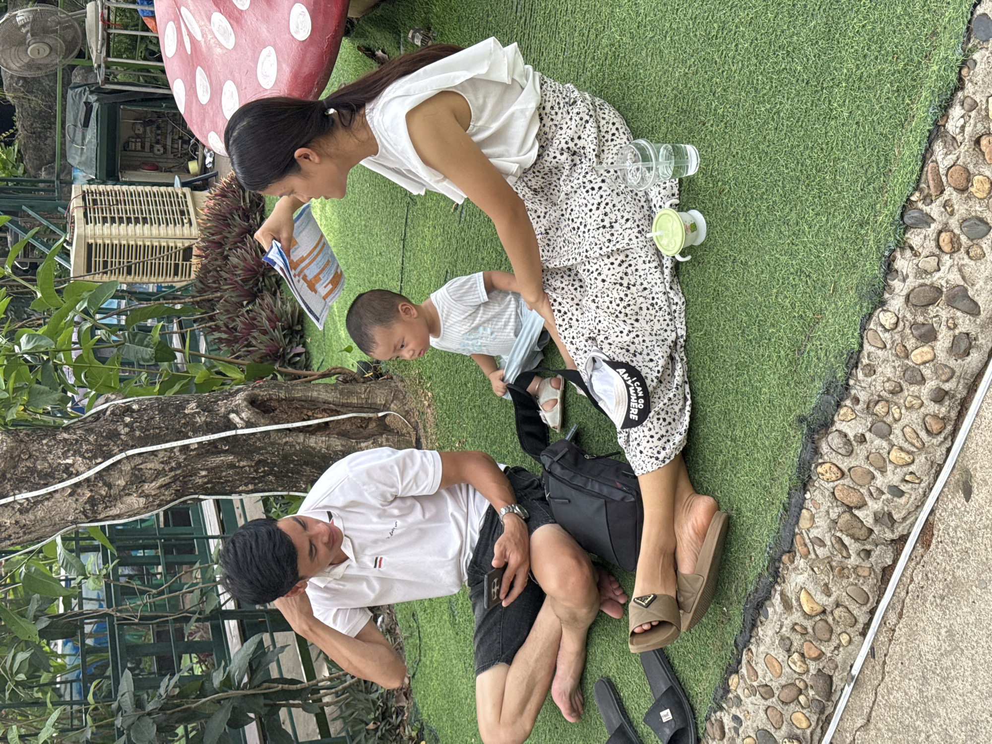 A family is having a picnic on artificial turf in the city of Hoa Lư Ward, Vietnam. The father, wearing a white polo shirt and black shorts, is sitting on the ground, looking at his phone. The mother, in a white ruffled blouse and a patterned skirt, is holding a brochure and interacting with their young son. The child, dressed in a striped t-shirt and blue shorts, is sitting between them. A large, red mushroom-shaped decoration is partially visible in the background, along with an air conditioning unit and some plants. Several pairs of sandals are scattered on the ground, and there are two drinks on the grass. The scene appears relaxed and casual, with the family enjoying their time together outdoors.