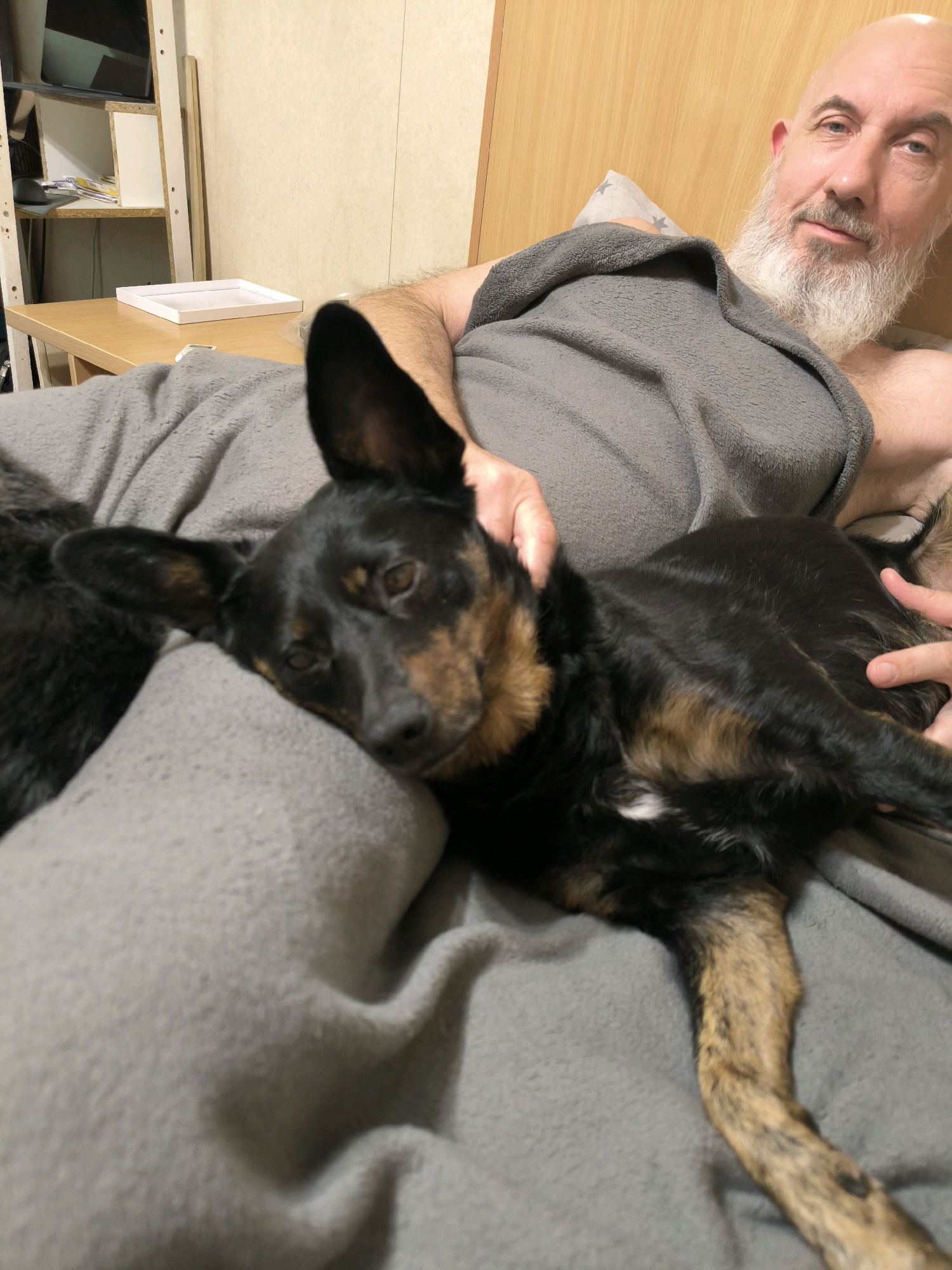 A bald man with a white beard lies on a bed covered by a gray blanket, with a small black and tan dog resting on his chest. The dog is facing the camera, with its head tilted to the side and its eyes half-closed. A bookshelf with various items, including a white tray, is visible in the background, along with a wooden wall. The overall setting suggests a domestic environment, likely within a home in Mykolaiv, Ukraine, given the provided context.