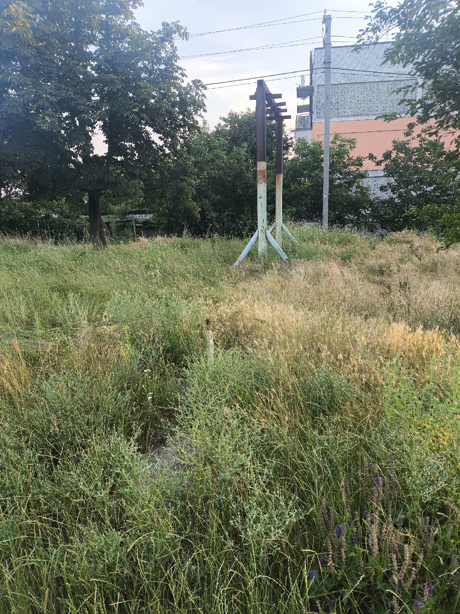 This image depicts an outdoor scene with a focus on an overgrown field. In the foreground and mid-ground, tall, dense grass and various weeds dominate the landscape, some appearing dry and golden, others a vibrant green. Scattered throughout the vegetation are small purple flowers. In the mid-ground, a rustic metal structure, possibly an old pole or support, stands with diagonal bracing at its base. Behind this structure, a modern building with a tiled facade and orange accents is visible, partially obscured by trees. To the left, a large tree with dense foliage stands, its branches reaching upwards. A utility pole with wires runs across the upper portion of the image, suggesting an inhabited area nearby. The overall impression is one of a somewhat unkempt, natural environment adjacent to human infrastructure. The lighting suggests it is daytime, possibly late afternoon or early evening, with soft light filtering through the sky, which is visible in patches between the trees and buildings. There is no visible text in the image.