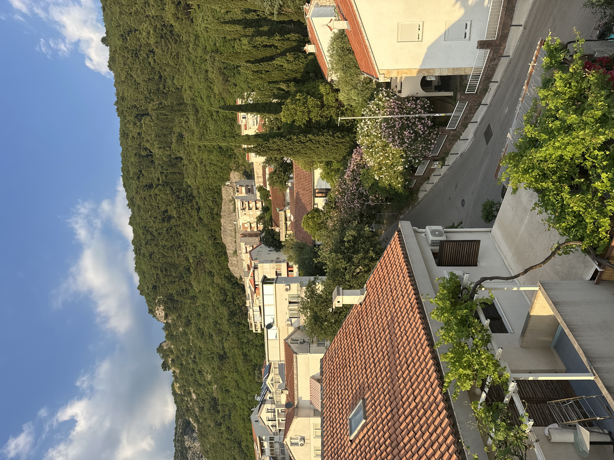 A ground-level perspective captures a streetscape in Budva, Montenegro, against a backdrop of a densely wooded mountainside. The foreground is dominated by rooftops covered with red terracotta tiles, partially obscuring the view of buildings. Between the buildings, a narrow paved road is visible, lined with residential structures and greenery including oleander trees with pink and white blossoms. The mountainous slope on the left side of the frame is completely covered with dense vegetation, ascending upwards. A portion of the sky, varying from blue to gray due to the presence of clouds, is seen above the mountain on the left side of the frame. The architecture indicates a residential area of Budva, with buildings constructed on the steep slopes of the surrounding terrain.