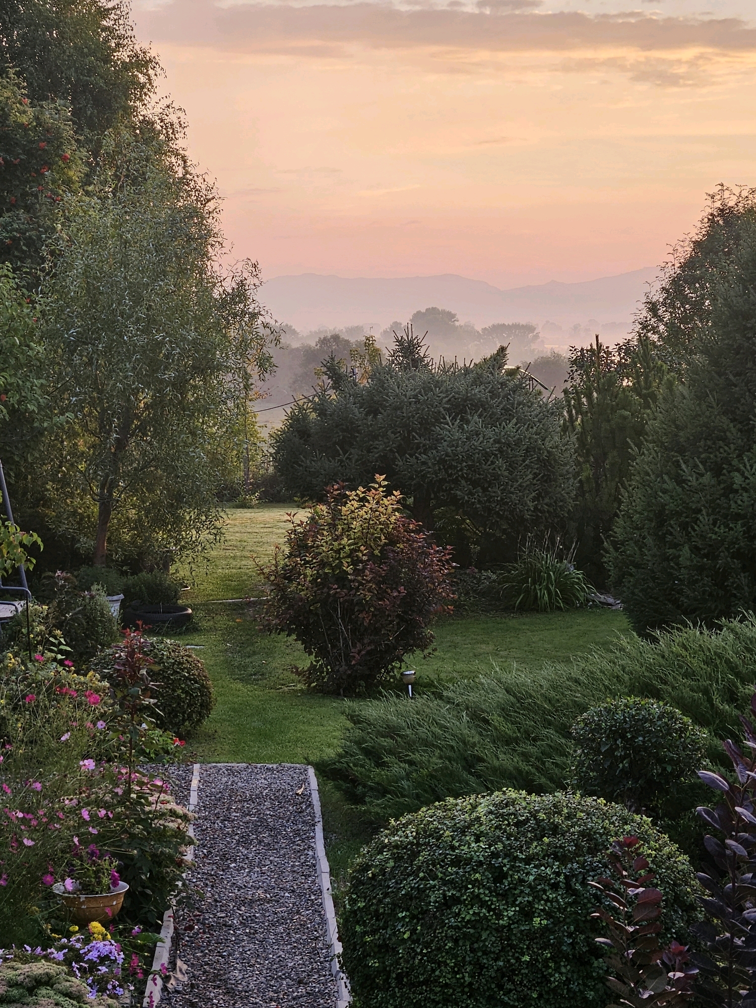 The image depicts a serene garden scene at dawn, with a soft, pinkish-orange sky transitioning into a hazy horizon. Lush greenery dominates the foreground and midground, featuring a variety of trees, shrubs, and a neatly manicured lawn. A gravel pathway leads into the garden, bordered by colorful flowers and dense foliage. In the distance, rolling hills are shrouded in mist, adding a sense of depth and tranquility to the landscape. The overall atmosphere is peaceful and natural, suggesting a rural or suburban setting.