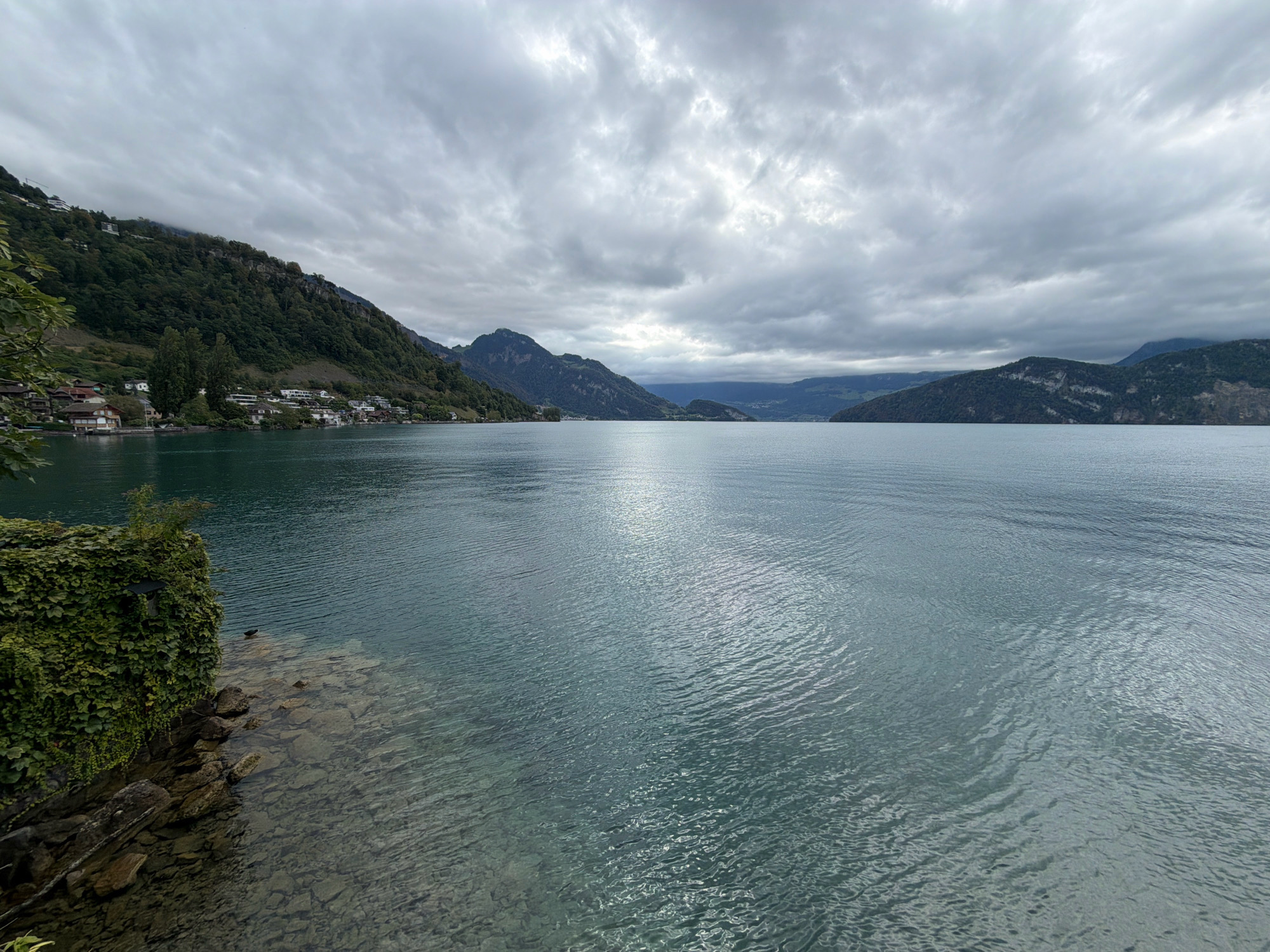 A wide-angle, high-angle, exterior shot captures a serene lake and mountainous landscape under an overcast sky. The foreground features a rocky shore covered in lush green ivy. The water is a deep, tranquil blue, with visible ripples and submerged rocks near the edge. In the mid-ground, a village with white houses is nestled along the base of a verdant, tree-covered mountain that rises steeply. The background is dominated by a chain of imposing, darker mountains stretching across the horizon. The sky is filled with dramatic, textured grey clouds, hinting at possibly inclement weather. This scene is located in Weggis, Switzerland.