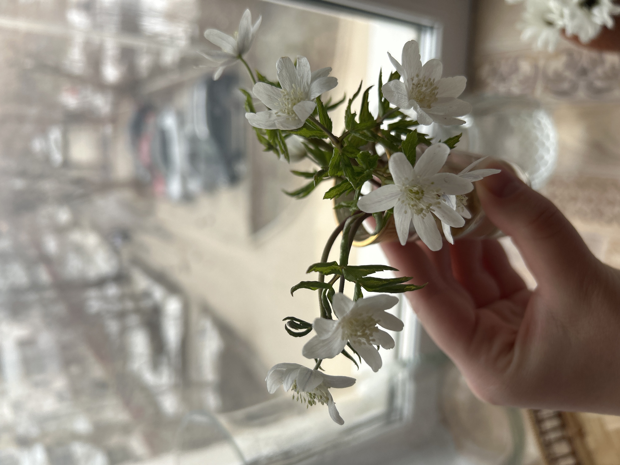 A close-up shot shows a hand holding a small vase with a bouquet of white flowers. The flowers have delicate petals and green leaves, and they appear to be freshly cut. The vase is simple and clear. The background is blurred, but it seems to be a window with a cityscape visible through it. The lighting is soft and natural. The scene conveys a sense of tranquility.