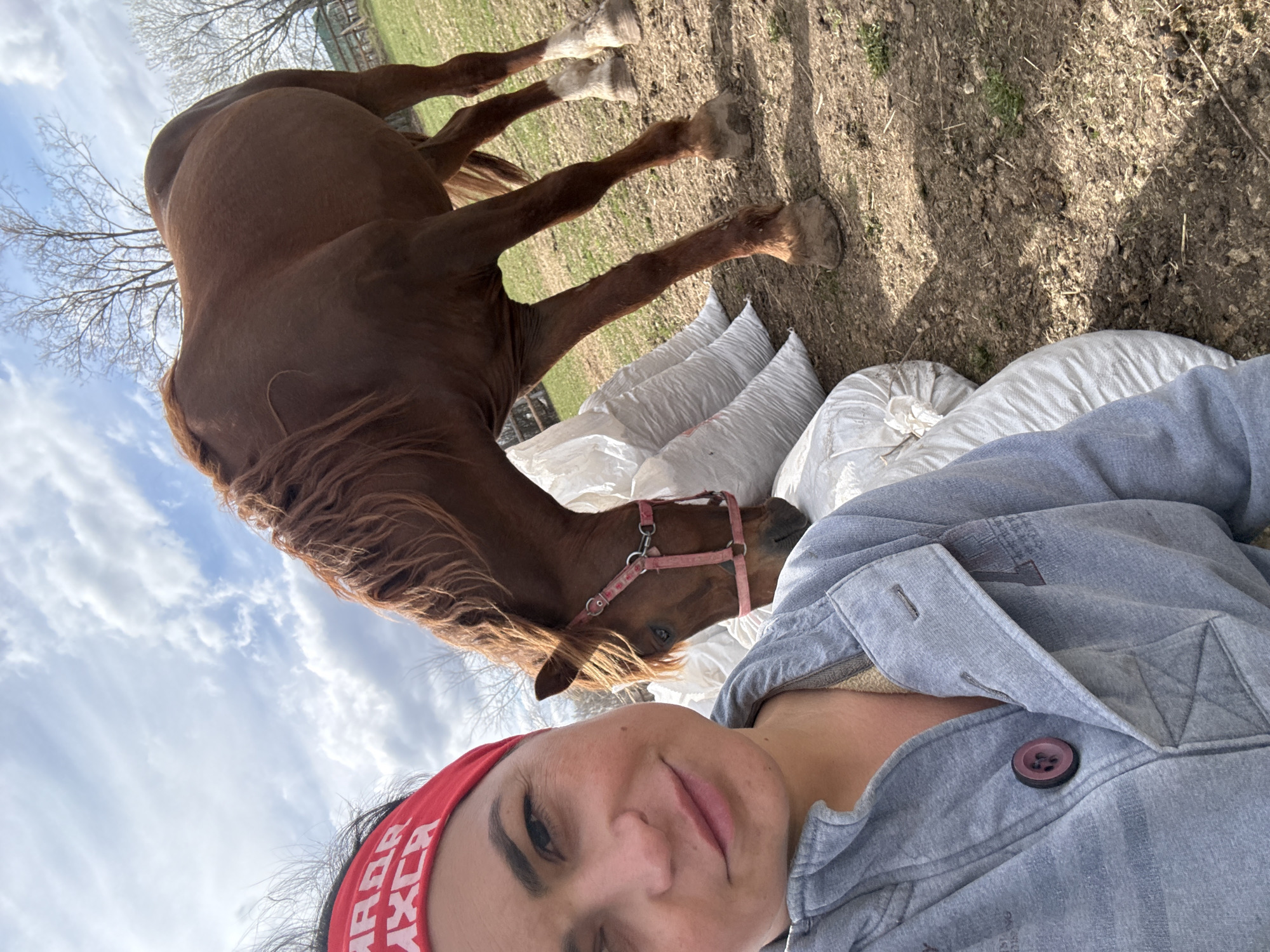 An outdoor selfie captured in Кемуль, Russia, features a woman in the foreground with a brown horse and several white bags in the background. The woman, with dark hair and a neutral to slightly smiling expression, wears a red headband displaying white, stylized text that appears to read "ARQR AXLR." She is dressed in a greyish-blue collared jacket with a prominent dark button.
Behind her, a chestnut horse with a flowing mane and a pink halter is visible. Its head is positioned downwards, seemingly observing or interacting with a pile of large, white sacks, likely feed bags, which are stacked on the dirt ground between the woman and the horse. The horse's body and parts of its legs are also visible.
The scene is set outdoors under a partly cloudy sky during daylight hours. Bare deciduous trees are visible in the background, suggesting a late winter or early spring season. The ground consists of dirt with patches of sparse grass. The photograph is taken from a low angle, giving a perspective of the horse from above the bags.