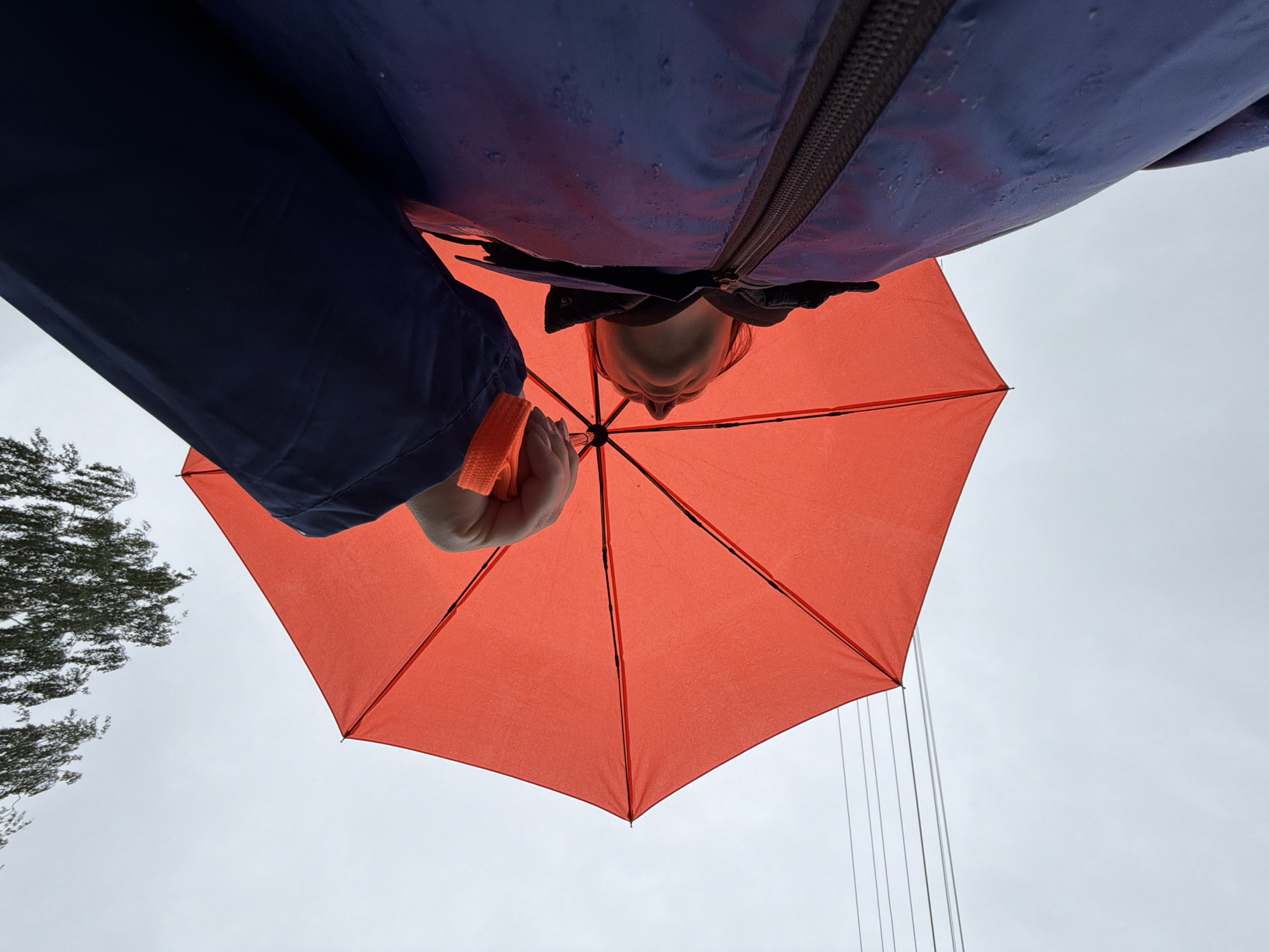 The image is a low-angle shot looking up at a person holding an orange umbrella. The person is wearing a blue jacket, and their face is visible just below the center of the umbrella. The sky is overcast. To the left, there's a tree with bare branches. In the background, there are some cables or wires. The location is Chaikovsky, Russia.