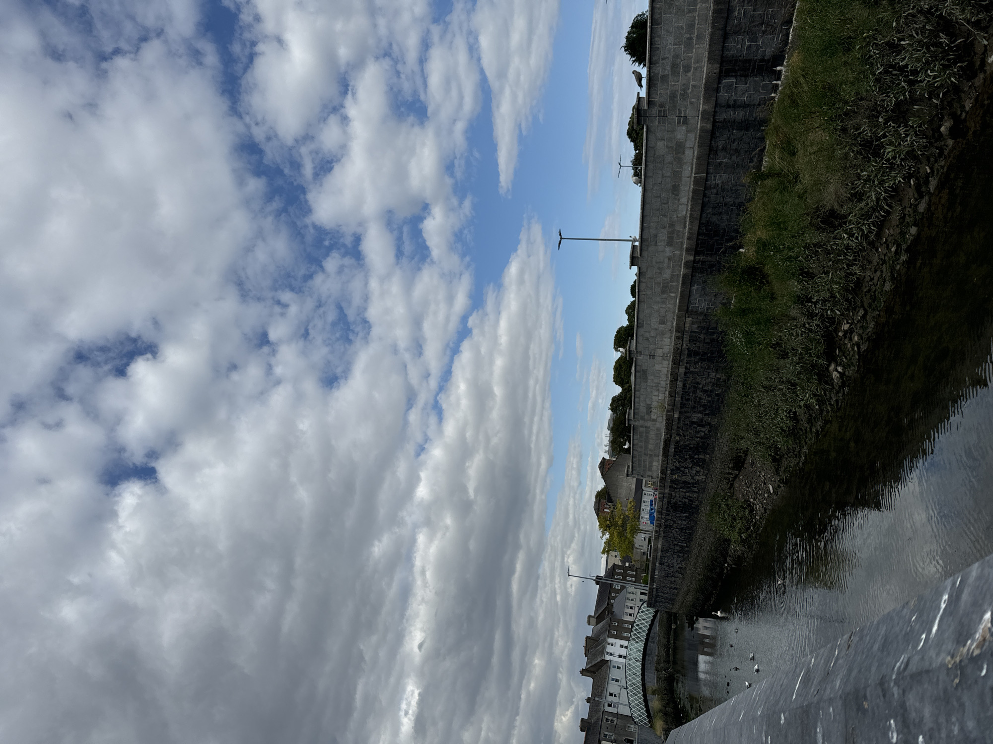 The image depicts a view of the River Suir in Waterford City, Ireland, on a cloudy day with patches of blue sky visible. In the foreground, the dark, textured surface of a stone bridge or embankment lines the left side of the frame. The river itself is dark, reflecting the overcast sky, and several birds, including a swan and gulls, are scattered on its surface and along its banks.
The right bank of the river is lined with a robust stone wall, topped by a lower grey wall with regularly spaced posts and a few streetlights. Beyond this wall, a dense line of green trees forms the background. On the far side of the river, a row of traditional, multi-story buildings with white window frames and dark roofs stretches along the quay. A distinctive white arched bridge, likely the Merchants Arch, spans the river in the distance, connecting to the buildings. The overall impression is of an urban waterfront scene under a dynamic sky.