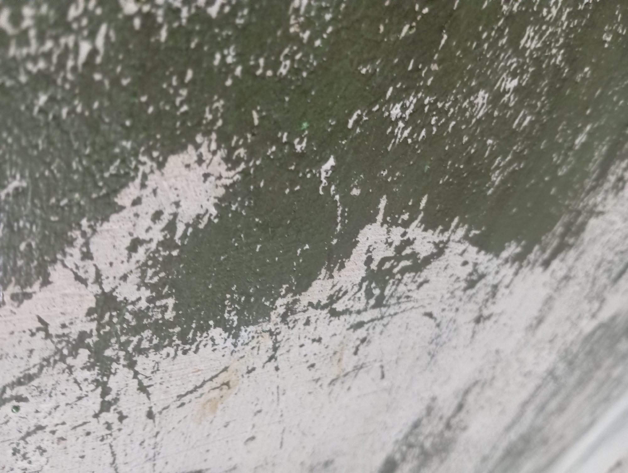 The image shows a close-up, angled view of a weathered, textured surface. The surface appears to be a wall or floor with a distressed paint finish. There are large patches of a light, off-white color, with significant areas of a darker, muted green showing through. The green paint appears to be peeling or worn away in many places, revealing the underlying material. The texture is rough, with visible imperfections, scratches, and speckling across both colors. The lighting suggests an outdoor environment, but no specific elements of the Rejosari, Indonesia location are identifiable in this abstract close-up of a surface.