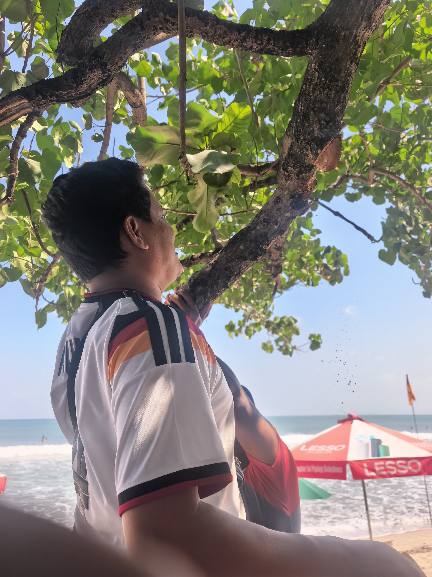 This media file shows a close-up of a person from the shoulders up, looking up at a tree with lush green leaves. The person is wearing a white shirt with black, orange, and red stripes on the sleeves and collar, resembling a sports jersey. They are holding onto the tree trunk, which appears to have been recently cut. Small debris is falling from the tree trunk into the air.
In the background, a beach scene is visible under a clear blue sky, suggesting a sunny day. The ocean with waves is in the distance, and a few people can be seen in the water. Two beach umbrellas are prominent in the middle ground. The larger umbrella is red and white and displays the text "LESSO" multiple times. A smaller green umbrella is partially visible behind it. A flag on a pole stands to the right of the umbrellas. The presence of beach umbrellas and the ocean indicates a tropical or coastal location.
The overall mood appears relaxed, with the individual enjoying the outdoors. The light suggests it is daytime, possibly late morning or early afternoon due to the bright sunlight. The scene is set at a beach, likely in a warm climate, and the visual cues of Kuta, Indonesia, place the location specifically.