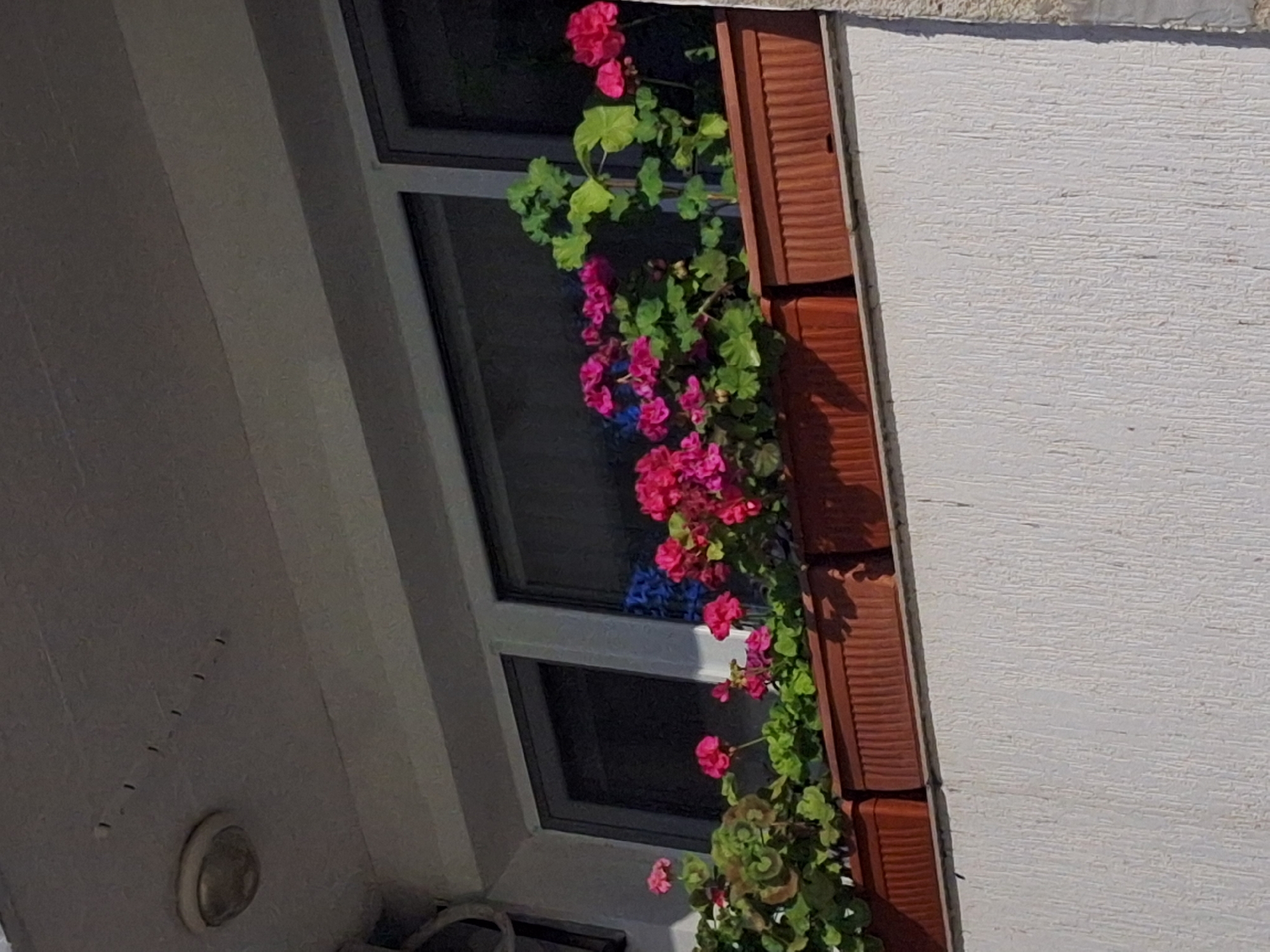 The image shows a close-up view of a balcony with flower boxes filled with pink and some blue flowers. The flower boxes are made of brown plastic and are placed on the ledge of the balcony. The balcony itself is a concrete structure with a white, textured wall below it. Above the balcony, a portion of the building's ceiling is visible, with a light fixture and several small, dark holes. The scene appears to be outdoors on a sunny day, as indicated by the shadows cast by the flowers and the brightness of the light. The building style suggests an urban setting.