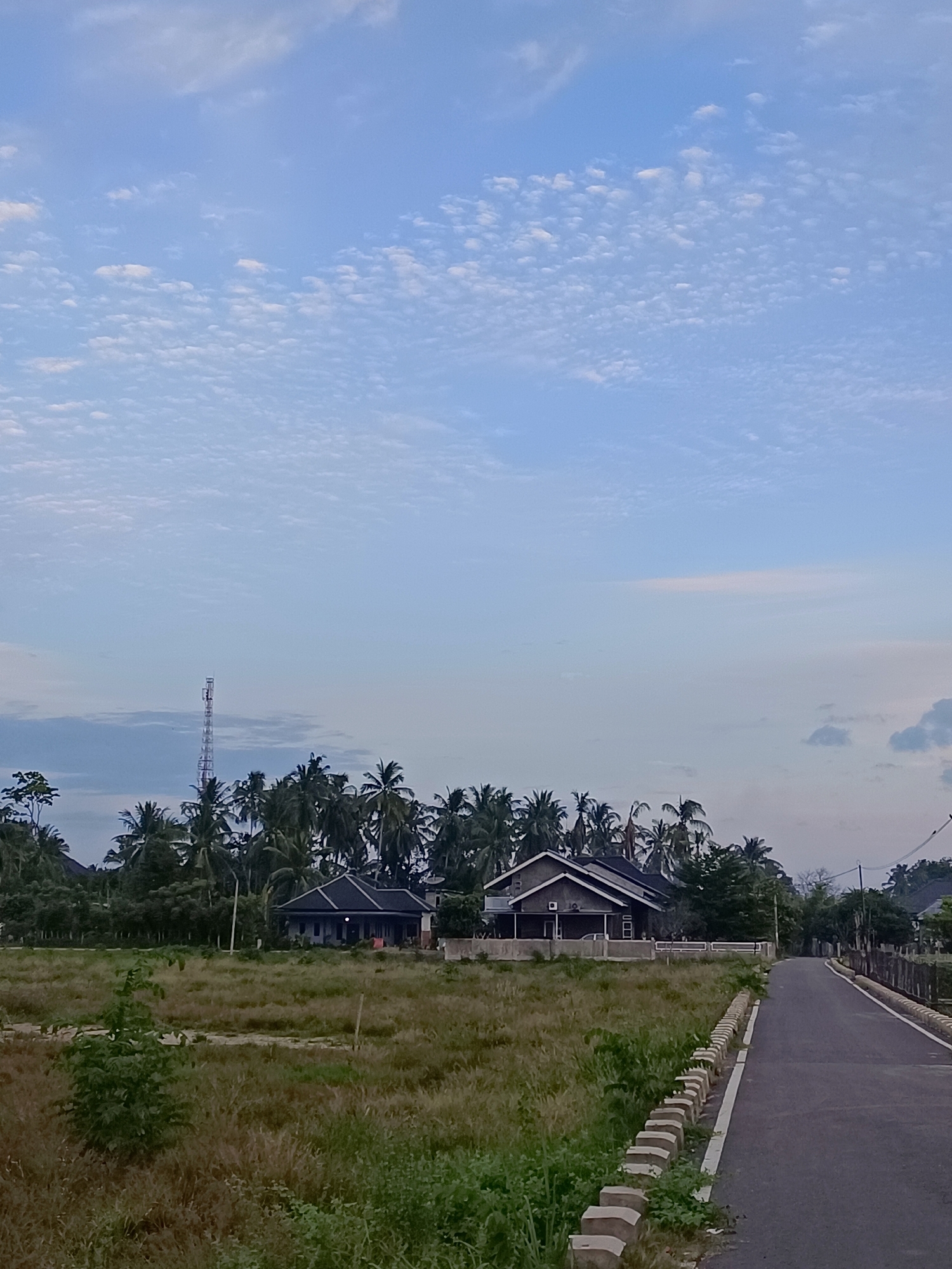 The image depicts a tranquil scene in Meunasah Raya, Indonesia, with a road leading through a landscape dominated by vegetation and residential structures. In the foreground, a paved road stretches into the distance, bordered by a low concrete barrier topped with segmented concrete blocks. To the left of the road is a field of dry, tall grass, with a small green bush growing prominently in the mid-ground.
Further back, several houses are visible, nestled among a dense cluster of palm trees. One house, appearing as a modern dwelling with a dark roof and light-colored walls, is prominently situated behind a low fence. Another, darker-colored house is visible to its left. The background is characterized by a vast expanse of blue sky, filled with scattered white clouds. On the far left, a tall, slender telecommunications tower rises above the palm trees. The overall impression is one of a peaceful, semi-rural setting at dusk or dawn, given the soft lighting. There are no people visible in the image.